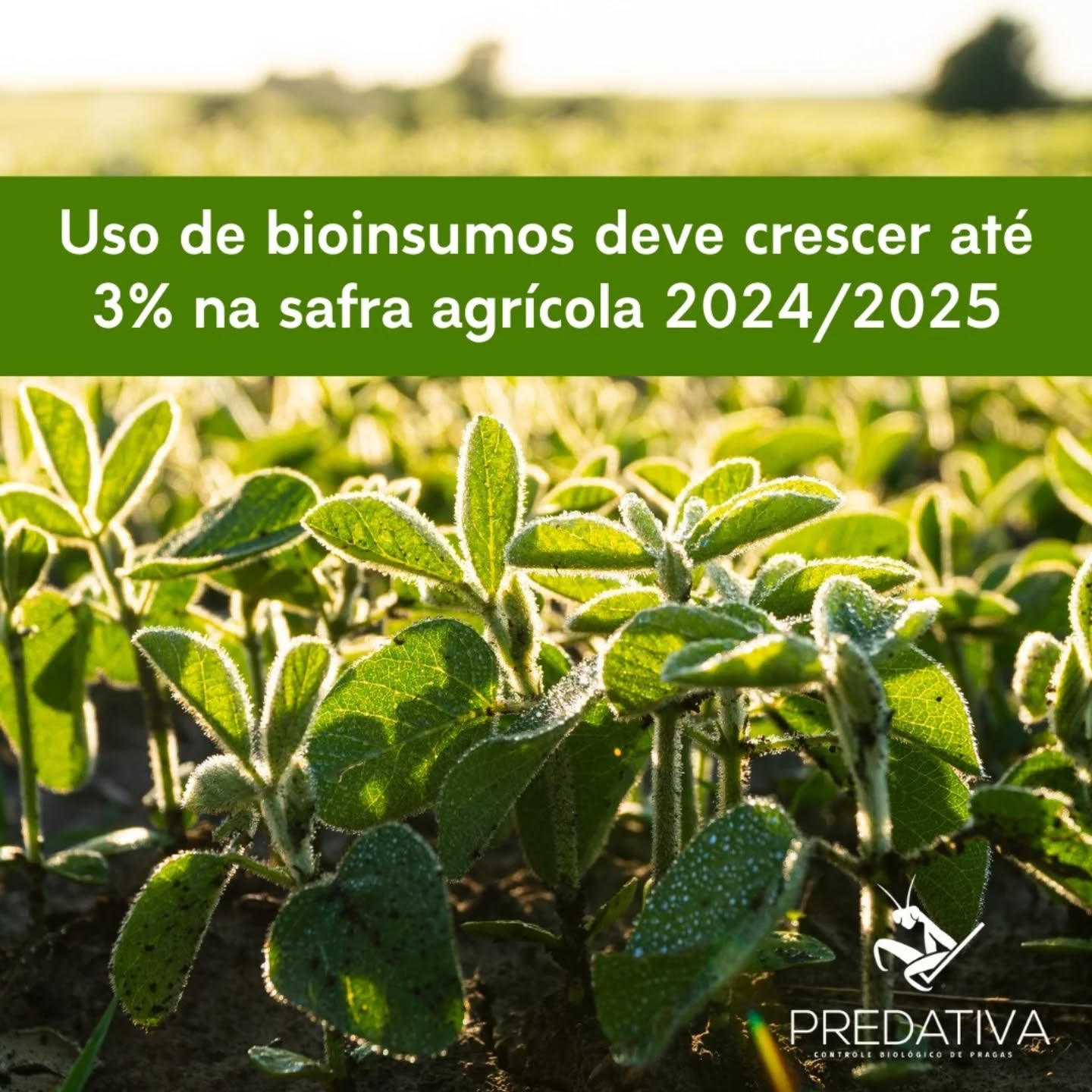 Visite o nosso site no link da bio e saiba mais!
Fonte: Correio Braziliense (link nos stories)