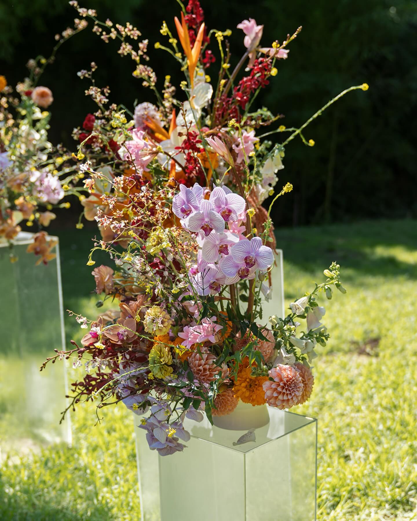 Florals that felt like a dream. 🌸✨
I still think about this colorful design by @llavefloral all the time.
Planner: @tiffanykay_events
Video: @michaelanthonymedia
MUA: @laurenm.mua
Hair: @claricejanine