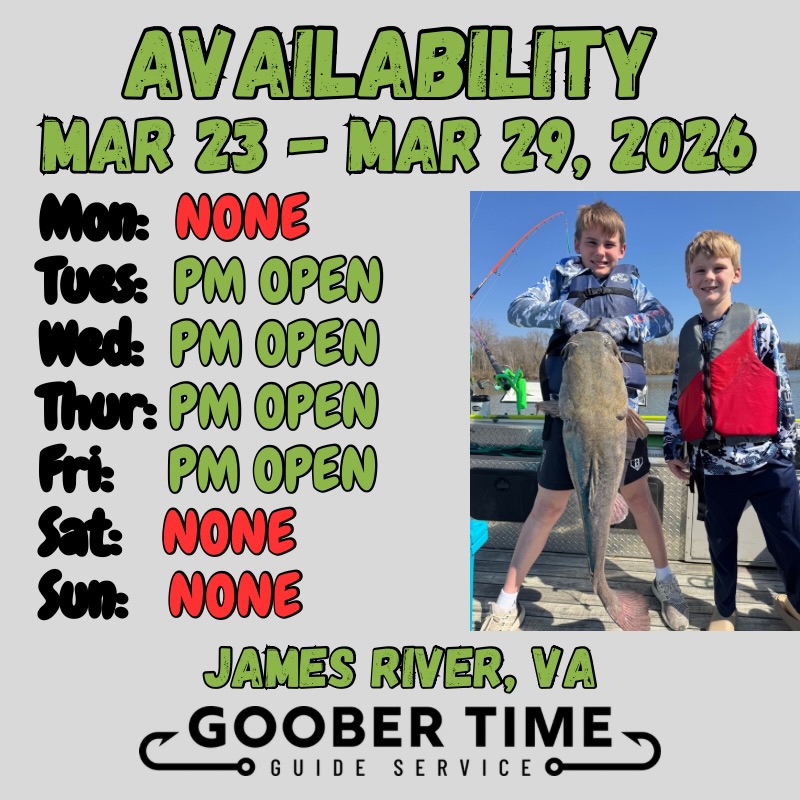 POST-WORK FISHING? YES PLEASE! 🎣✨
We’re filling up fast this week! We only have availability left for our short evening trips.
Grab your gear, leave the emails behind, and join us on the water for a sunset session. Let’s see if we can land a big one before the sun goes down!
Comment “FISH” below and we’ll help you reserve your seat on the boat.