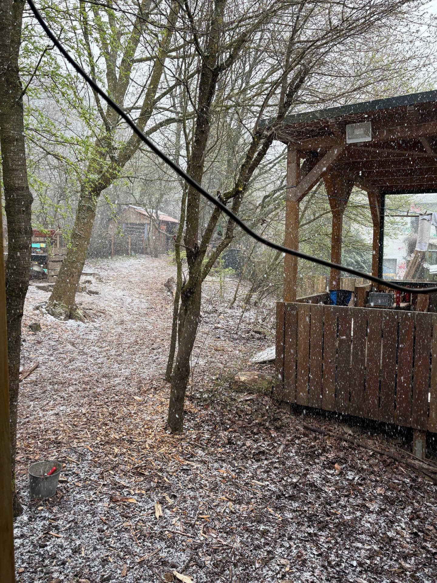 Ende März geht es uns schon wie im April. Das Wetter schwingt um von Hagel und -3 Grad zu balancier Wetter 5 Minuten später. Bei uns gibt es kein schlechtes Wetter sondern nur schlecht angezogen! #waldkindergarten #kletternetz #sport #natur