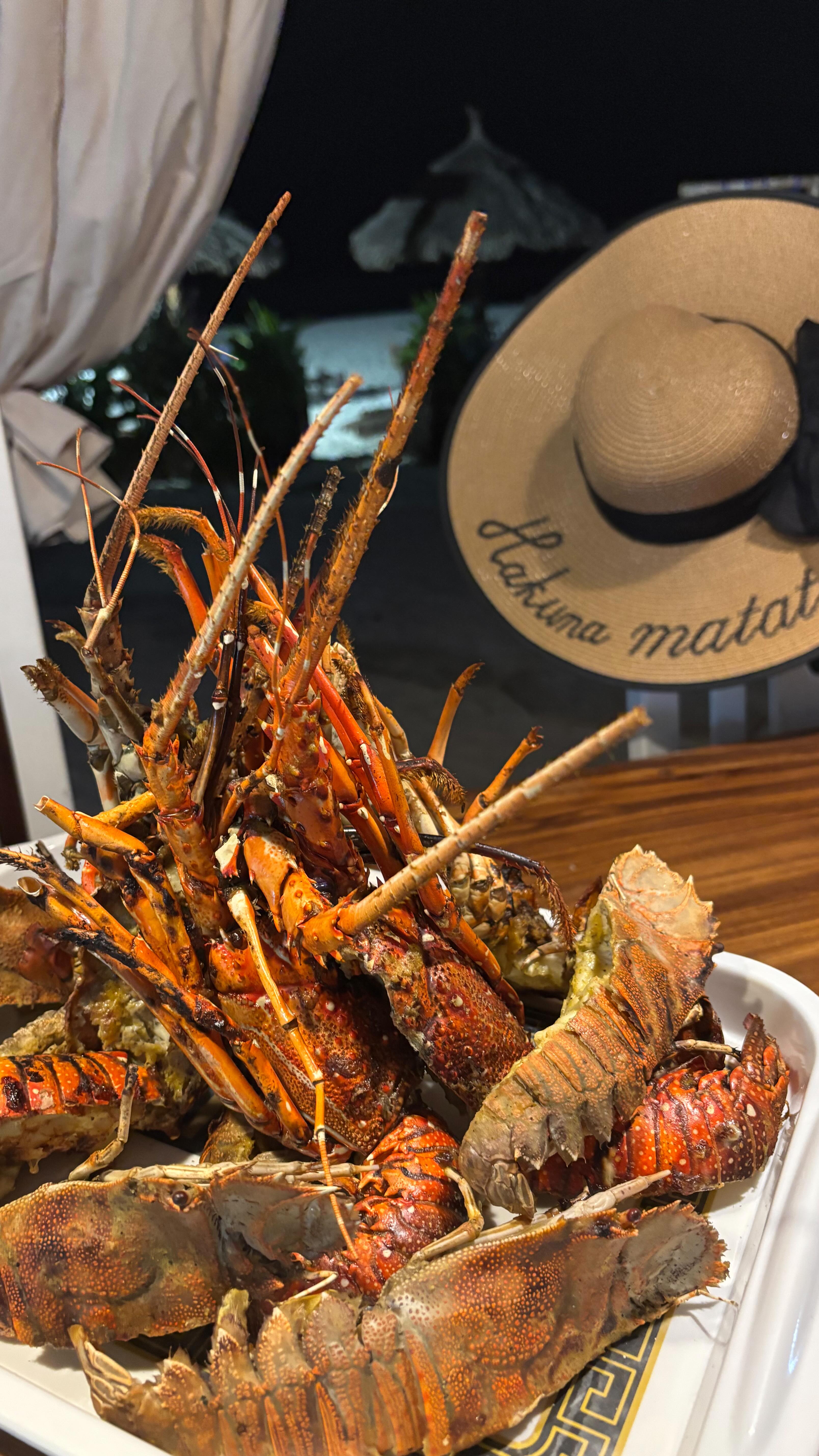 🇬🇧 ✨ Imagine this: you come back from a day by the sea or exploring nature, still feeling the warmth of the sun… and you don’t have to think about anything.
Waiting for you at Villa Thamani… Chef Freddy, ready to amaze you 🍽️
An exclusive experience designed for those who want to enjoy the villa to the fullest:
👉 private dinner served directly at home
👉 freshly prepared dishes
👉 zero stress, pure relaxation
All you have to do is sit back, toast, and enjoy every moment.
Because true luxury is this: being pampered without lifting a finger ✨
Message us to discover how to add this service to your villa experience
———
🇮🇹
✨ Immagina questo: rientri da una giornata tra mare e natura, ancora con il sole sulla pelle… e non devi pensare a nulla.
Ad accoglierti, Villa Thamani… e lo Chef Freddy pronto a sorprenderti 🍽️
Un’esperienza esclusiva, pensata per chi vuole vivere la villa fino in fondo:
👉 cena privata direttamente a casa
👉 piatti preparati al momento
👉 zero stress, solo relax
Tu devi solo sederti, brindare e goderti ogni istante.
Perché il vero lusso è questo: sentirsi coccolati, senza muovere un dito ✨
Scrivici per scoprire come aggiungere questo servizio alla tua esperienza in villa 💌