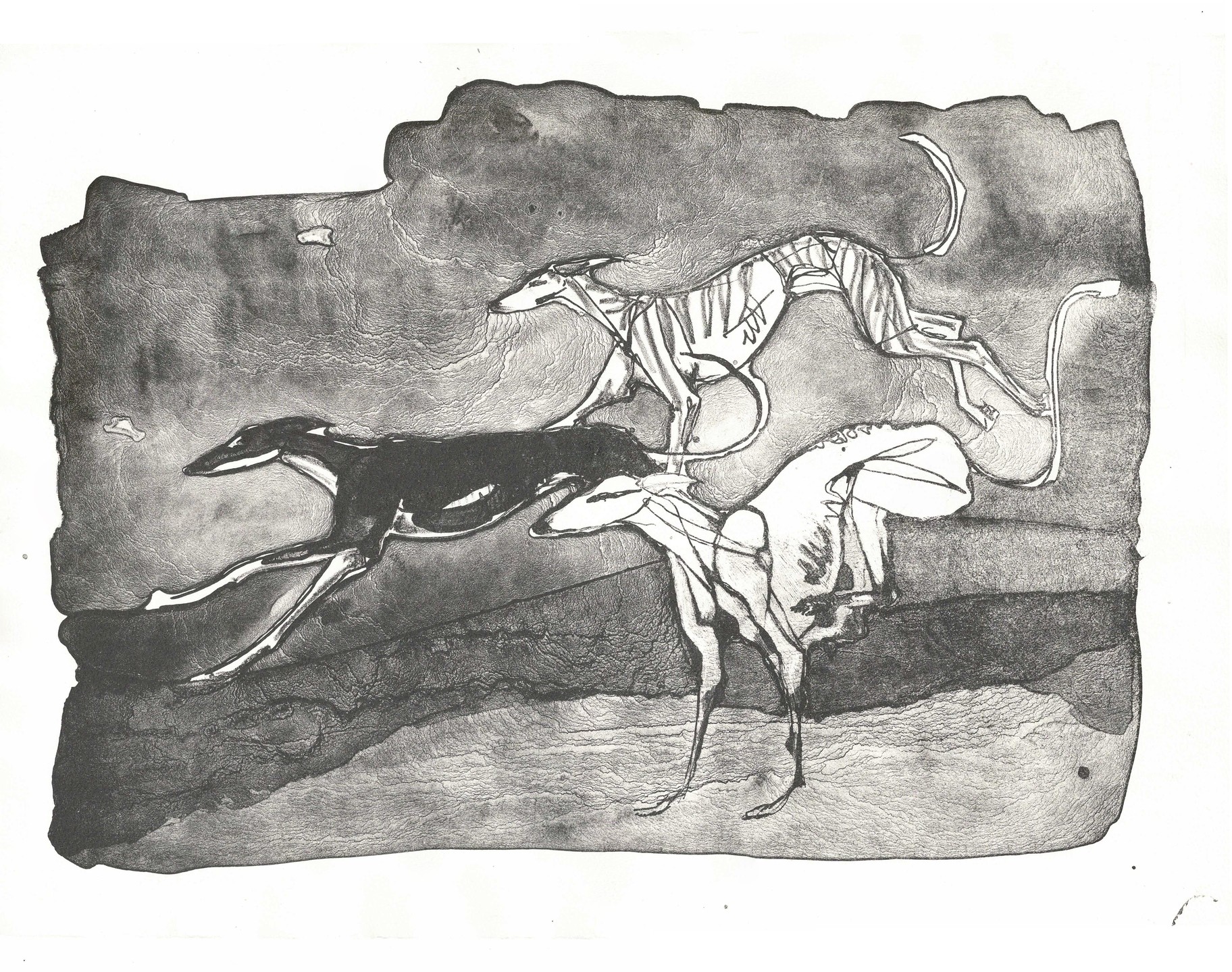 Week three of lithography and I have just got this through the press.
We have been working with tusche and the delicious crinkly reticulation it produces, under the expert tuition of Flora McLachlan and Paul Croft.
Three in Movement
Edition of 4 on Hahnemuhle
30x39cm
2 available, contact me for further information.
#lithography #lithograph #tusche #stripeyhoundsrt #galgosdelsol #galgoespagnol #aberystwythschoolofart #uniorbust