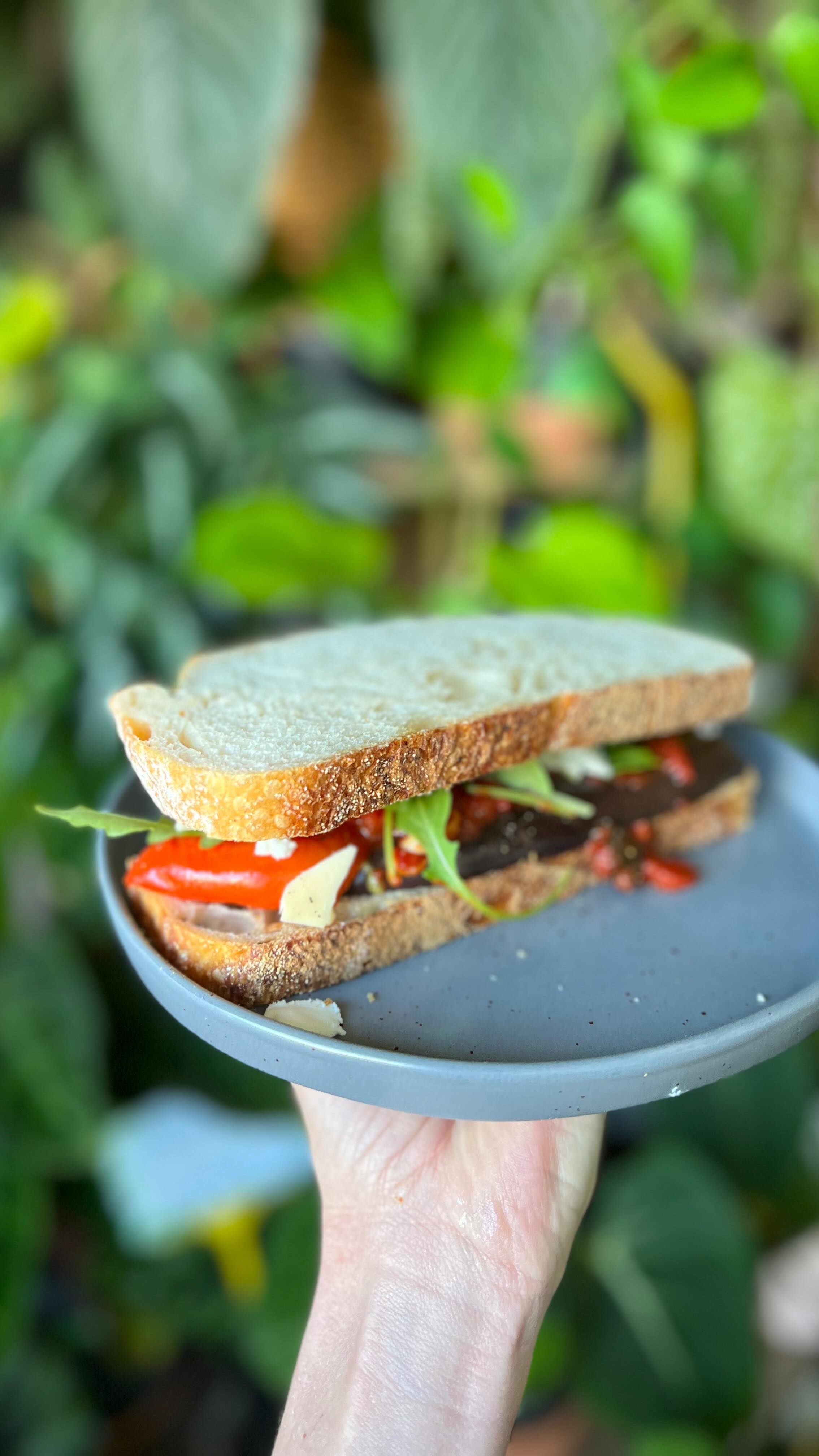 Toastie Overhaul: Episode 1 🍞