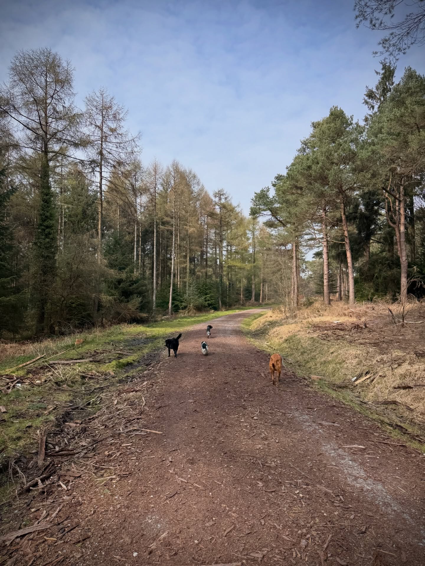Mondays squad. Warming up nicely ☀️