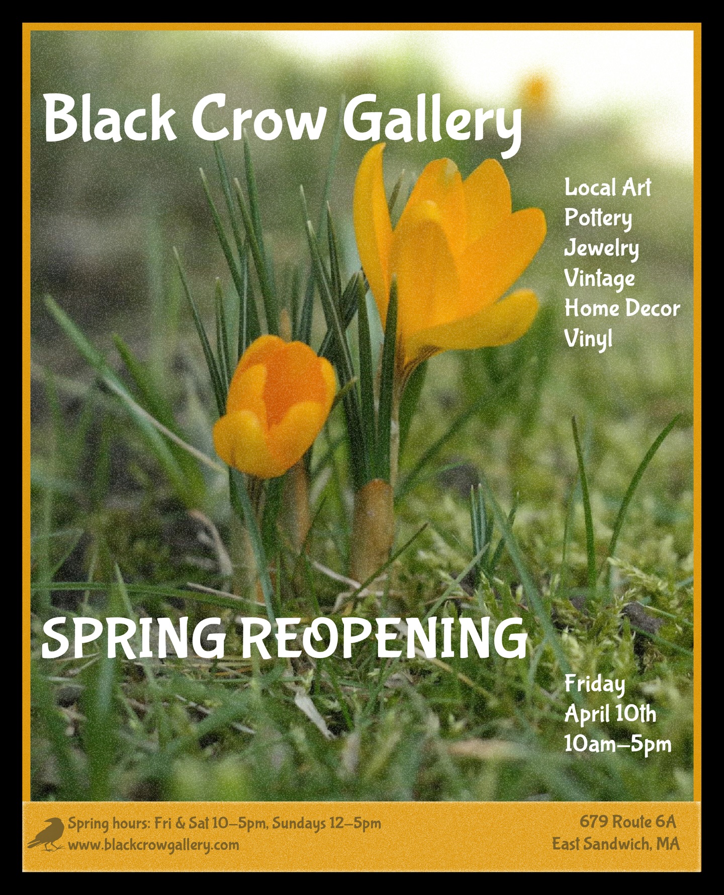We are so happy to announce our opening date for the new Spring Season ! Mark your calendars and come visit to see all our new new ☀️
.
.
.
#blackcrowgallerycc
#capecodartgallery
#capecodartists
#womanowned
Cc: @artsbarnstable @artscapecod @oncape.art @capecodtimes @capecodchamber @guidebookcapecod