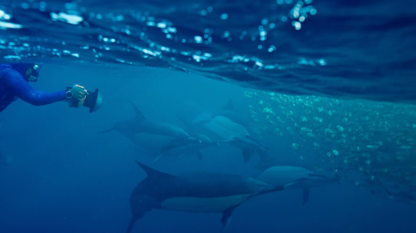 NEW WORK OUT SOON: a story so big I can only hope I did it justice feat @zandithemermaid
Slide to see teaser. Produced by @stinkfilms @kseniyakurochkina @tomas_smrcek @minwill DP @roryogrady UW DP @sachaspex @ta_devs Cut @anthonyleemartin Color @nic_apostoli full credits on release.