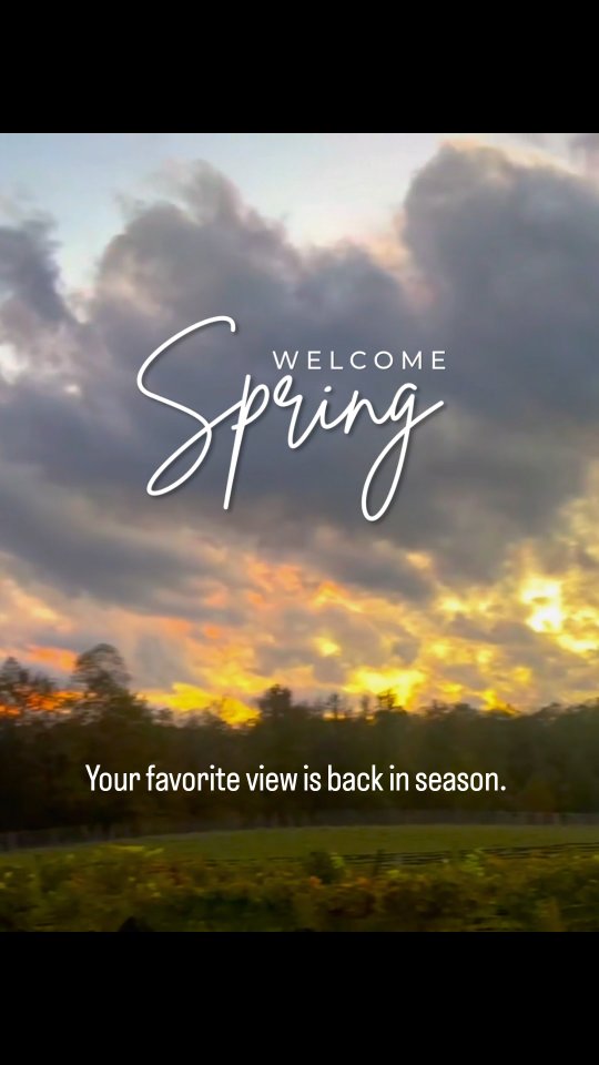 Your favorite view is back in season and now the weather is finally catching up! 🍷
Stop by this weekend to soak up the sun and the vines. The weather is going to be gorgeous!
#juniuslindsayvineyard #lexingtonnc #ncwine