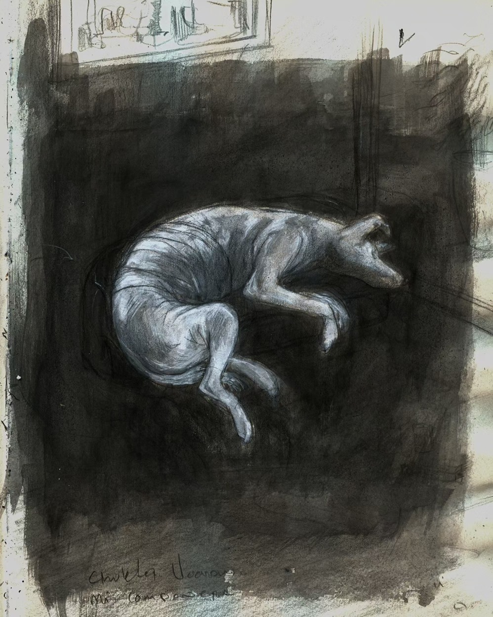 Variaciones sobre un mismo tema.