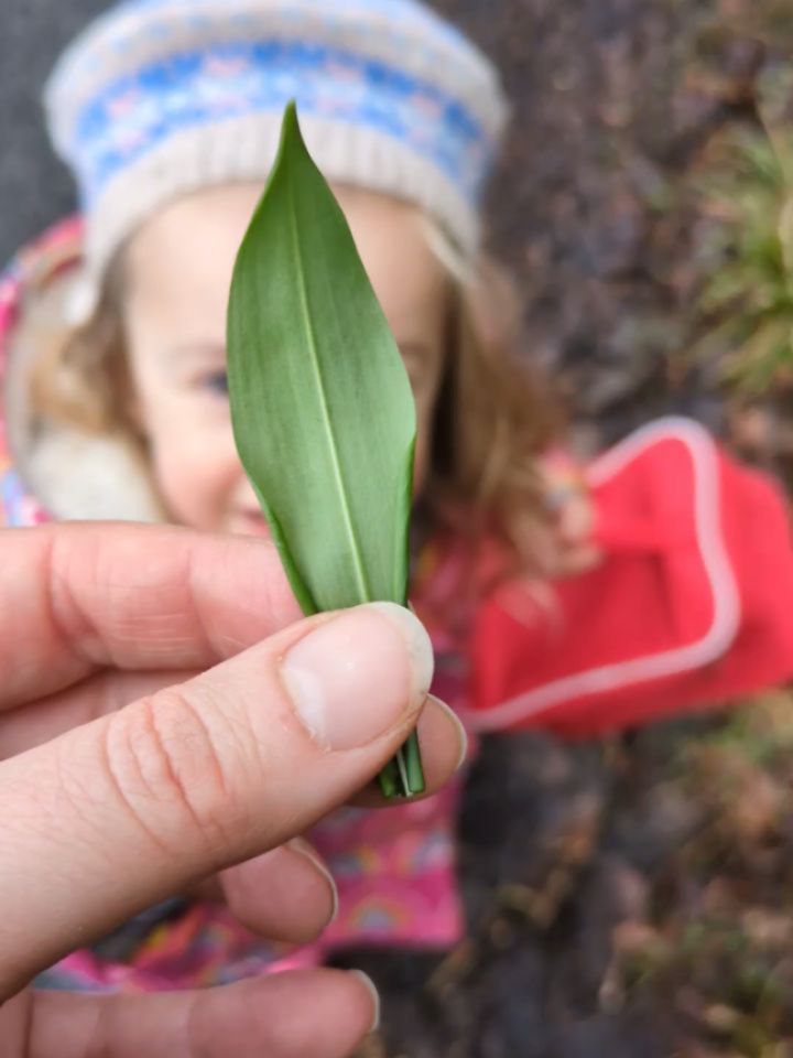 Feeling green? 💚🌱
It was amazing to see all the protests on my social media yesterday. For once I was filled with hope and good feeling 😀😭
Not all protests are organised and large scale. I often do mine out in the forest. If you fancy rebelling against our current (and pretty appalling on many fronts) food system, then might I suggest ramsons? You might know it as wild garlic. If you need some help, harvesting tips or cooking ideas then check out my blog post on this fascinating plant 🙌🏽👍🏽😎
https://www.thewildcooke.com/post/ramsons-wild-garlic