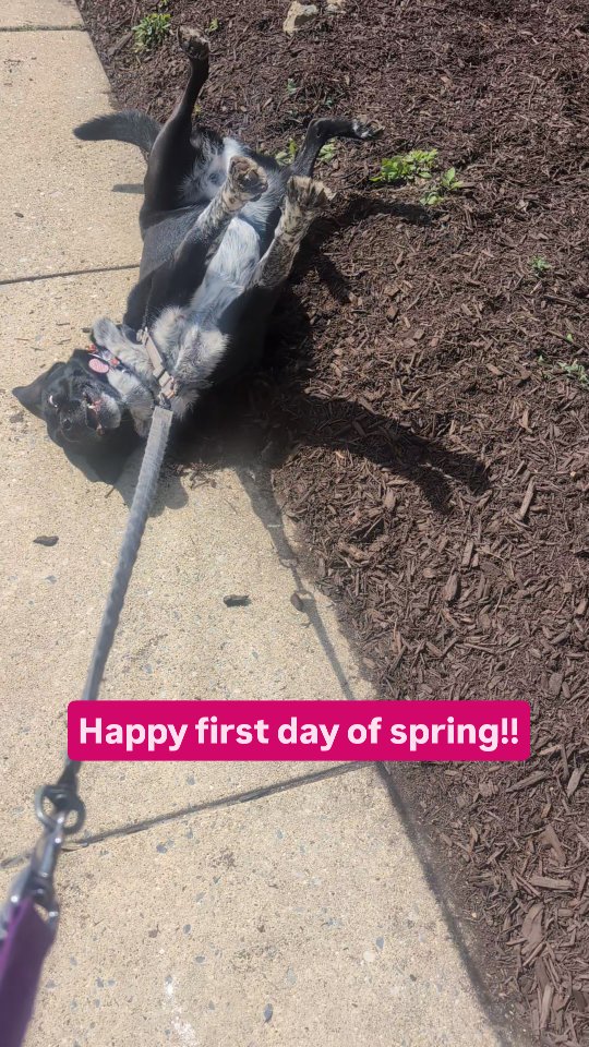 Living her best life 🫣