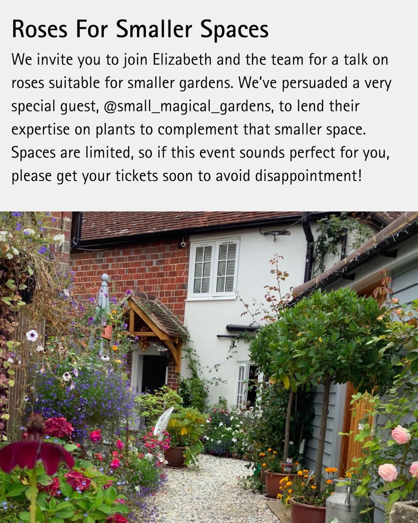 We are very excited to announce our one off event for those with gardens a little on the tiddly side! Elizabeth will be giving her best advice for which roses work best in small spaces and how to take care and make the rose work best for you! We are very excited to have our dear friend @small_magical_gardens volunteering their time to add to the talk with tons of great tips on plants to compliment the smaller garden.
If this sounds perfect for you then don’t wait, tickets are limited and once they’re gone they’re gone!
Date: Saturday 25th of April from 14.00-15.30.
You can find tickets on our events page on our website.
#westsussex #gardening #gardeningtalk