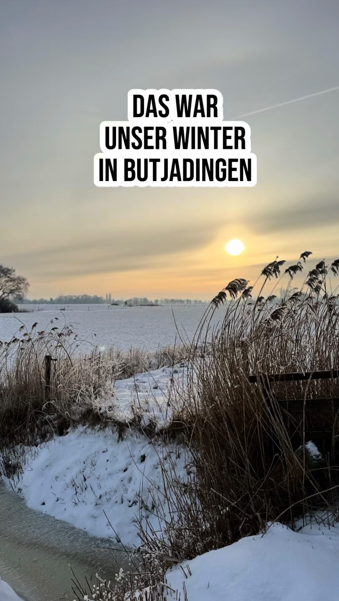 Das war unser Winter in Butjadingen.
Still, weit, weiß – und oft windig.
Die Zeit, in der man durchatmet und alles ein bisschen leiser wird ❄️
Und jetzt wird’s langsam wieder lebendig.
Wir freuen uns auf den Sommer.
Freut ihr euch auch schon? ☀️
WINTERVIBES
BALD WIEDER SOMMER
BUTJADINGEN