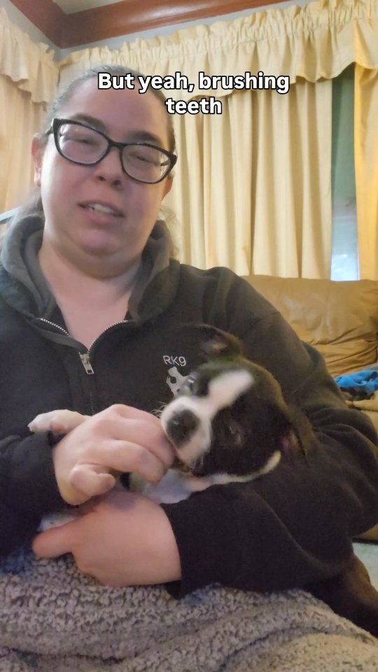 Brush your dogs teeth is super important!
We started from day one with him getting used to me being around his mouth
That might look like training them to be ok with you lifting a flap with some treats or
maybe you have them bite down on something like a size appropriate ball or a made device if you are feeling crafty (I have some videos I can send you 😉)
Cooperative care is all about making important things feel fun while giving your pup the best life they could ever ask for