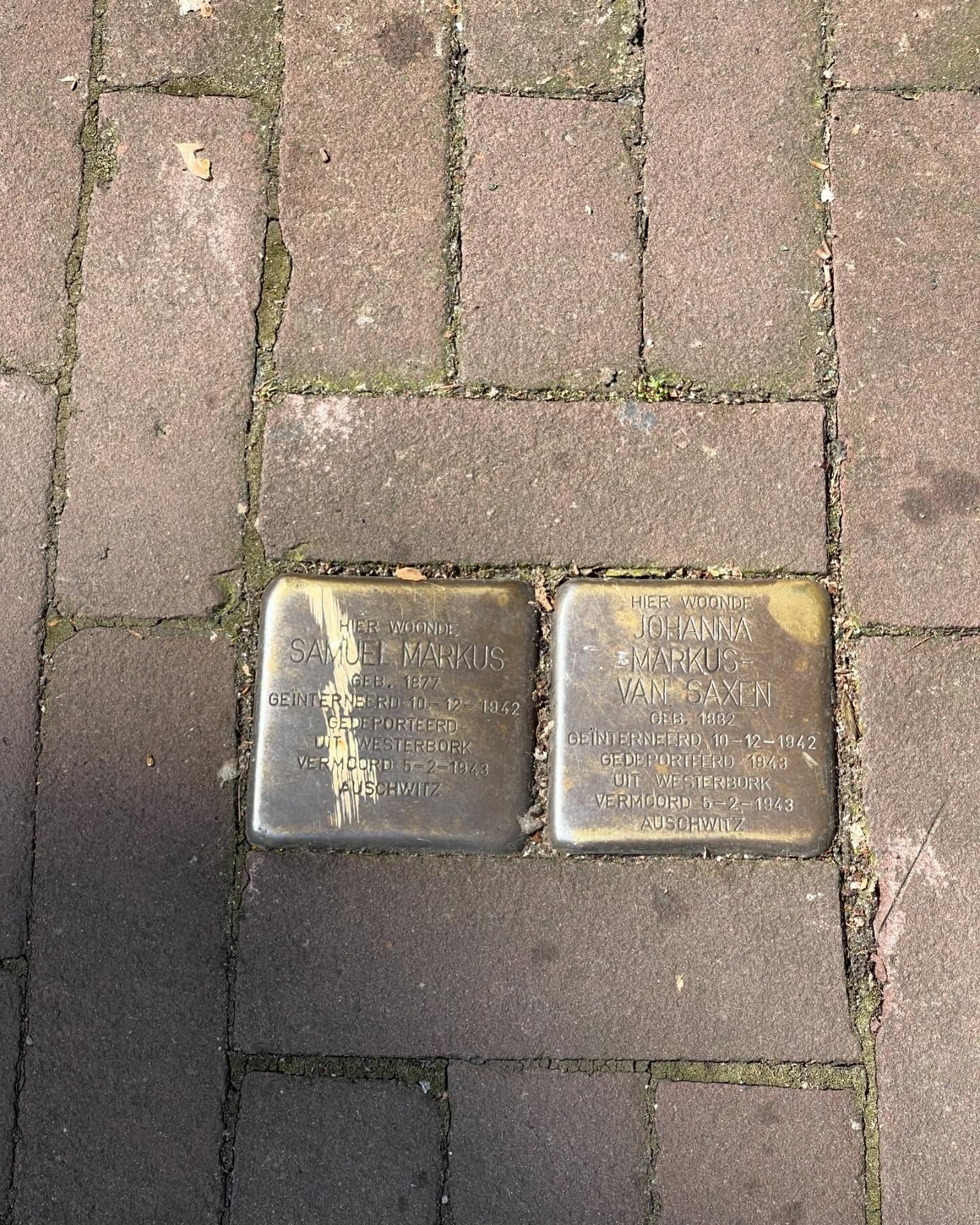 So many of these in the city 😔