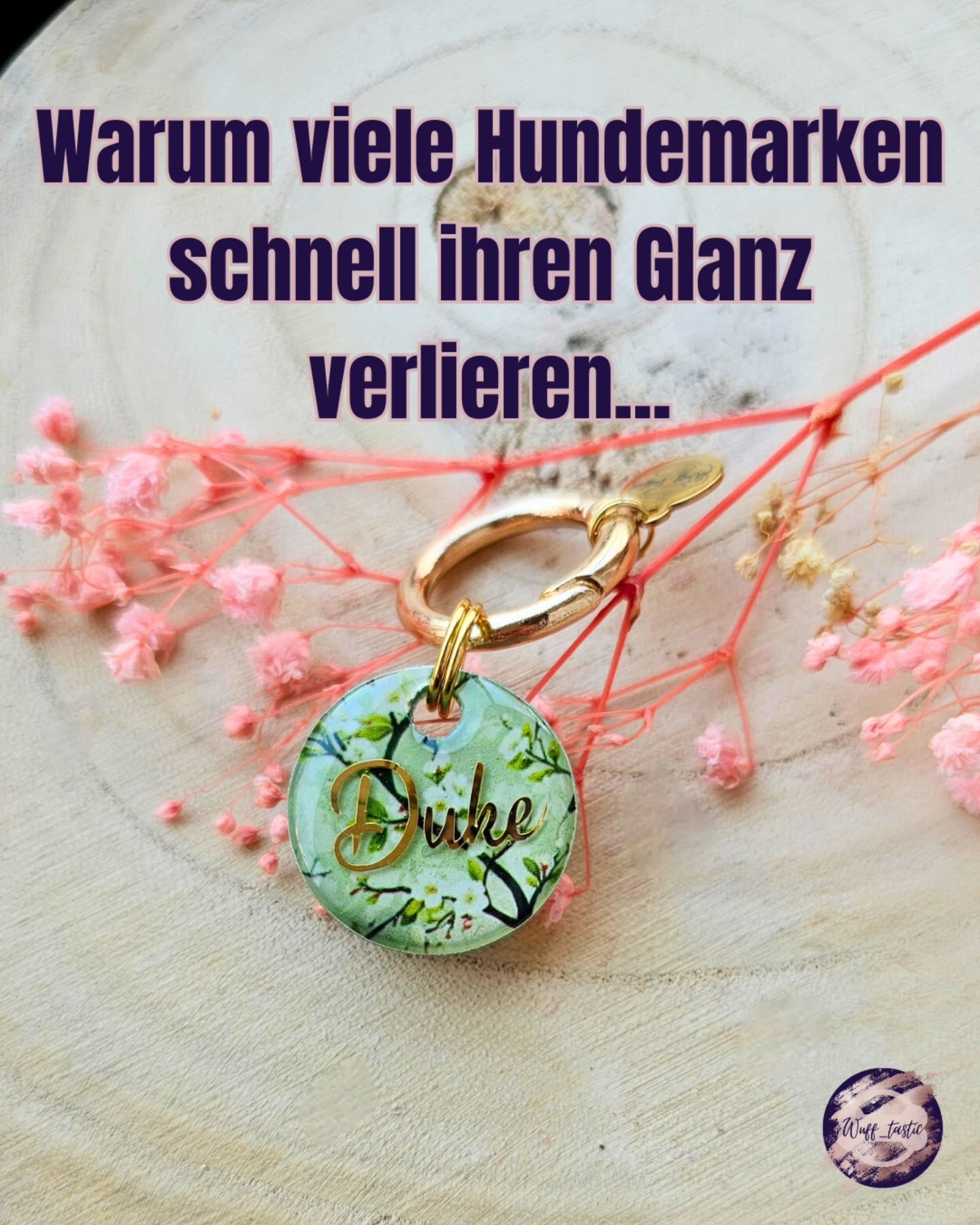 Viele denken, eine Hundemarke hält einfach „so“
Aber gerade Resin braucht ein bisschen Pflege,
damit es lange schön bleibt.
Die gute Nachricht:
Es ist super einfach, wenn man weiß wie
👉 Speichere dir den Post, damit du es nicht vergisst 🤭
#pflegetipps #pflege #hundeliebe