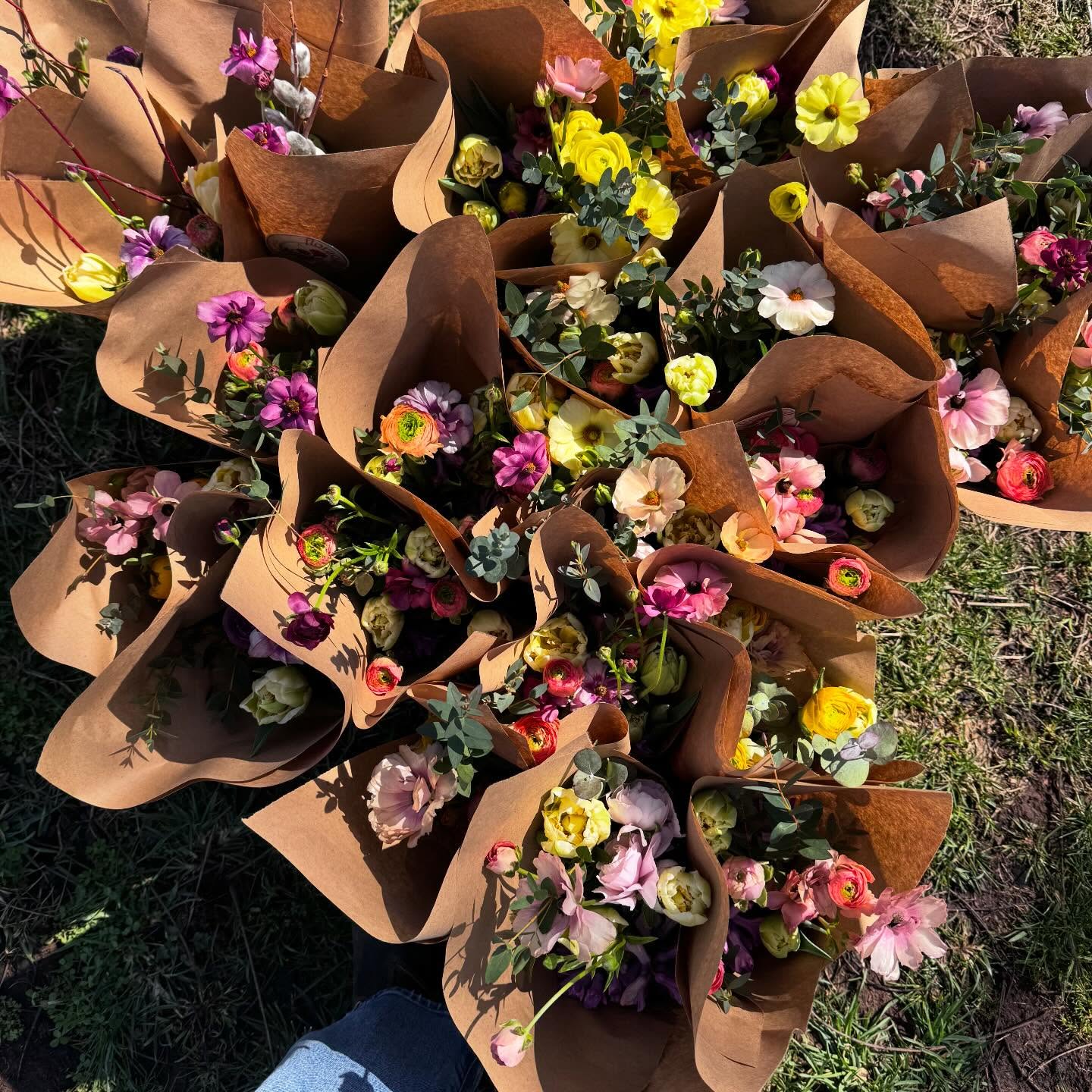 Spring has sprung! We just delivered our first batch of bouquets to @themercva and @lovettsvillemarket - with lots of help from @rockandriverflowers and beautiful ranunculus from @pleasanthillsfarmmd
Fragrant Hyacinths, double tulips and long-lasting Ranunculus - go get em!
#localflowers #flowerfarmer #springflowers #spring #ranunculus