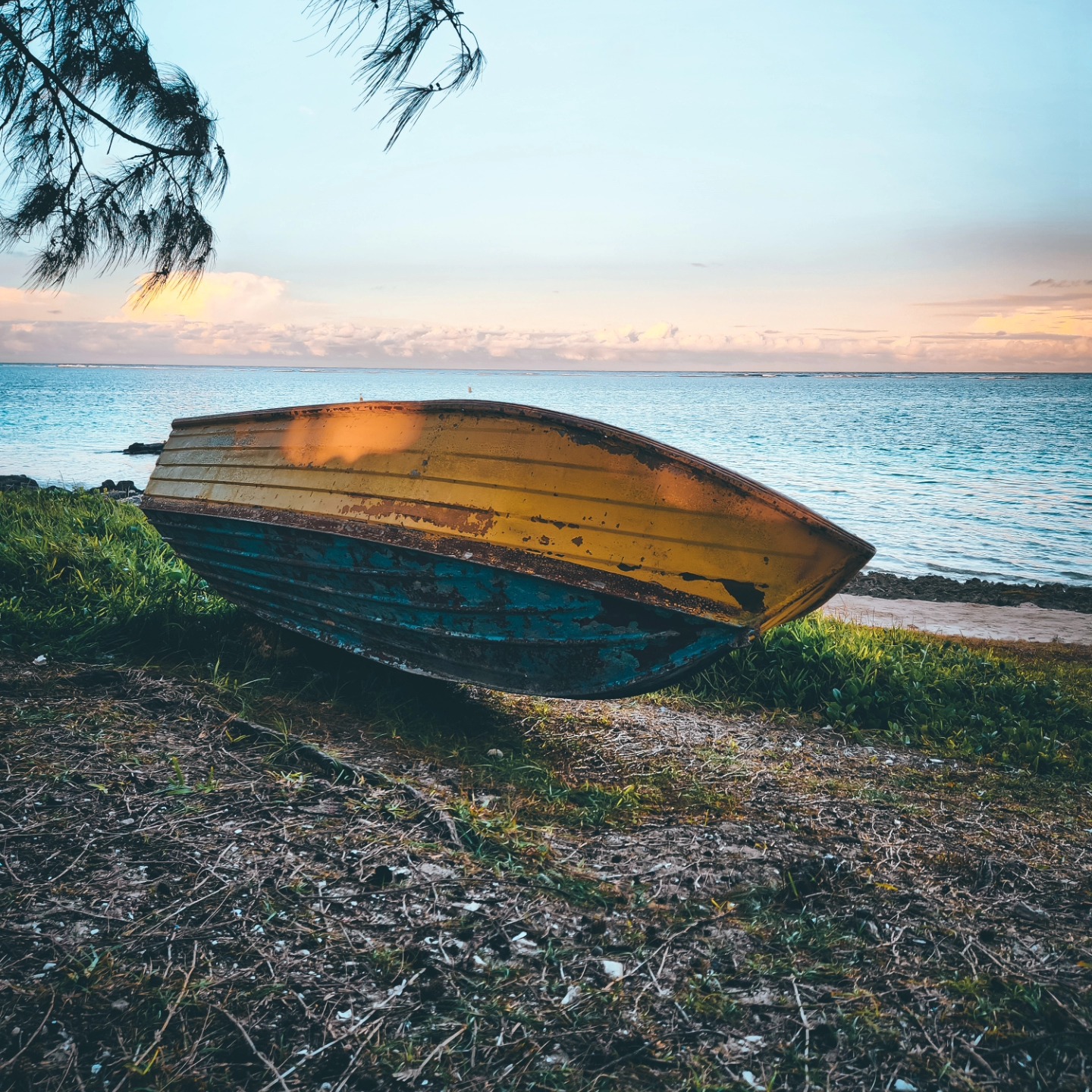 Where the waves meet the horizon and every stride feels like freedom. Gear up, chase the sunset, and embrace the outdoors. 🌊🏃♂️ #RunWild #SunsetMiles #AdventureInMotion #alphhunt #keepexploring