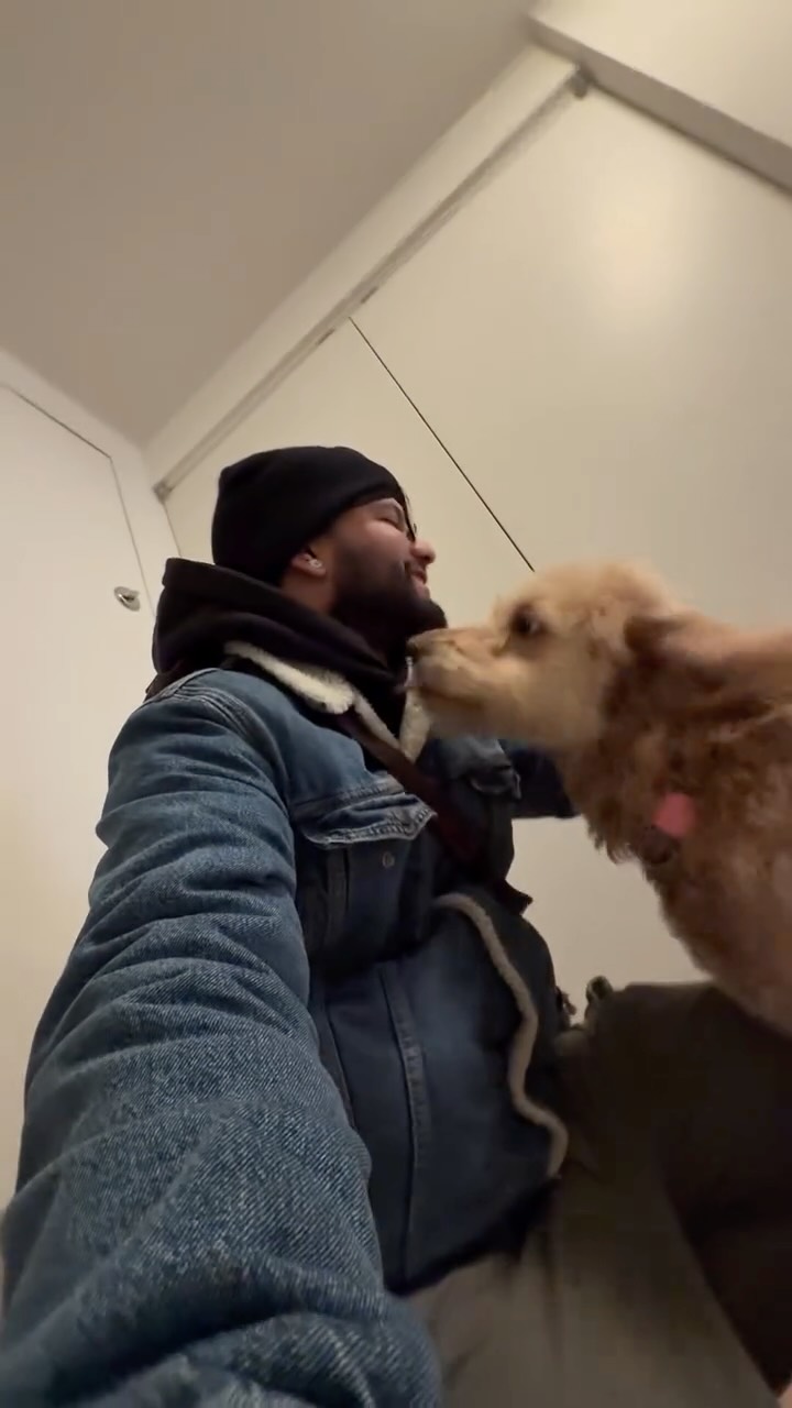 This beautiful girl is always happy to see Kevyn! Georgie !! 💛🐾🐾
#dogsofallboroughs #goldendoodlelove #goldendoodlemoments #dogsofnyc #doodlelife