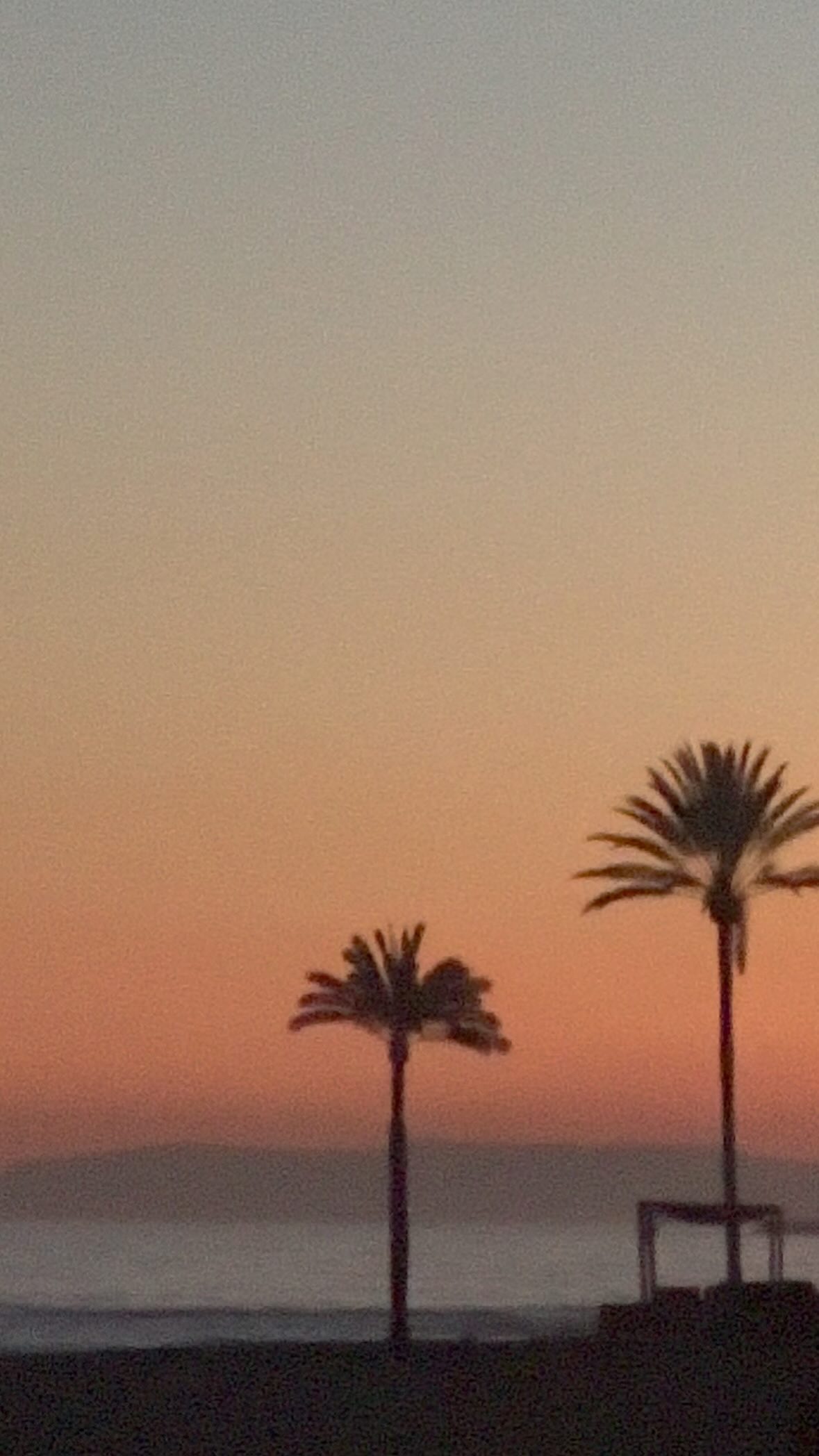 20 years of dreaming about living by the sea, surrounded by nature.
It’s not exactly easy to change your whole life, but those sunsets are slow mornings are soooo worth it 🤍