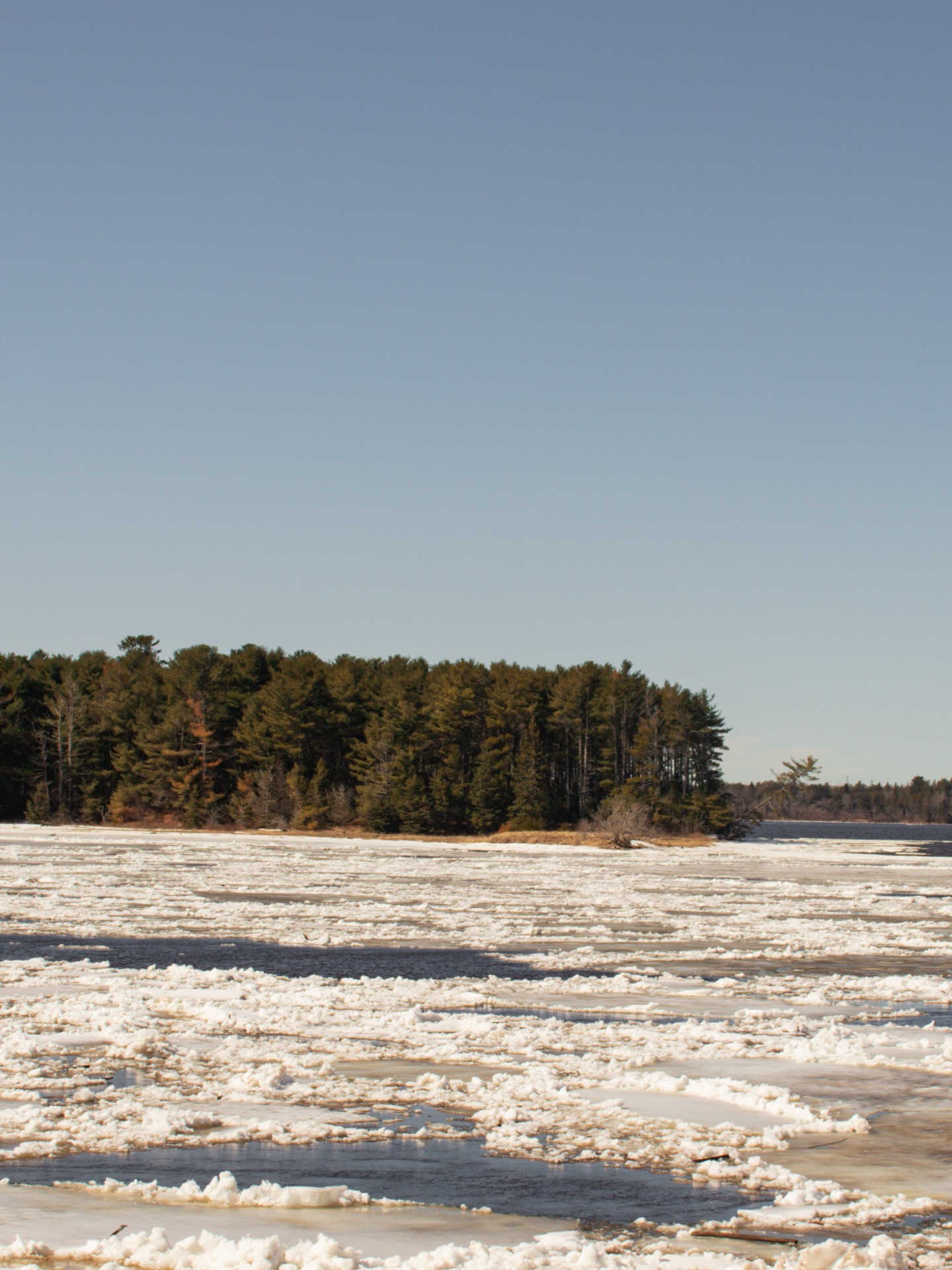 Tomorrow is the day! Make sure to stop by the 5th Annual Beaubears Sugar Bush on Saturday, March 21st from 1PM - 4PM, with newcomer hour starting at 12PM! Admission is by donation at the entrance! See you there!🍁
📍Bicentennial Park, 35 St. Patrick’s Drive, Miramichi
@discovermiramichi
