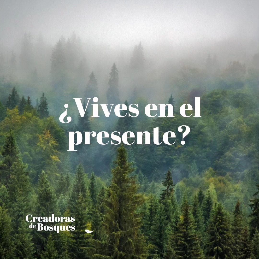 Recuerda ✨
Intenta encontrar un momento a lo largo del día para poner consciencia de lo que te está pasando.
Si no tienes ni unos minutos para hacer este ejercicio utiliza tus últimos segundos antes de dormirte o los primeros al levantarte.
Son los únicos momentos con los que no vas a relacionarte con tu teléfono. Aprovéchalos. 💚
#creadorasdebosques
#viveelpresente
#mujeresconectadas
#conectadasalatierra
#respira