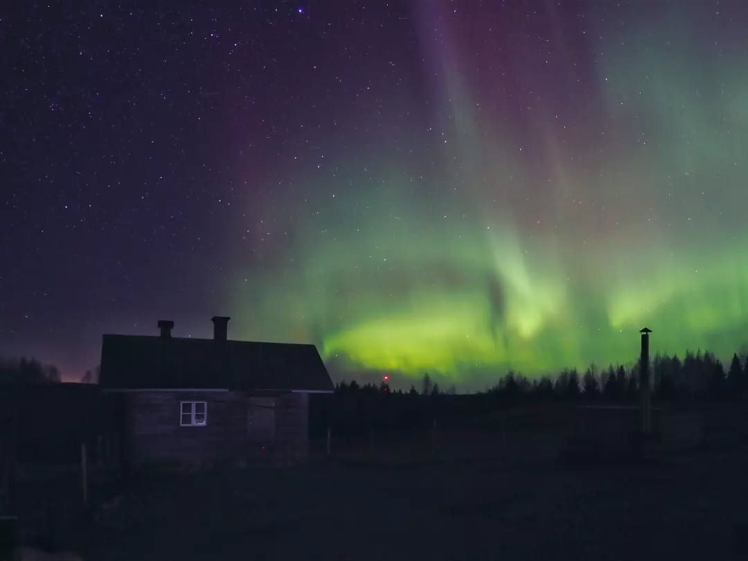 Magnificent northern lights appeared tonight and danced across our hill 🤩
#northernlights #revontulet #visitilomantsi #puustilanmaisematila #scenicfarm #farmstay #nightsky #visitfinland