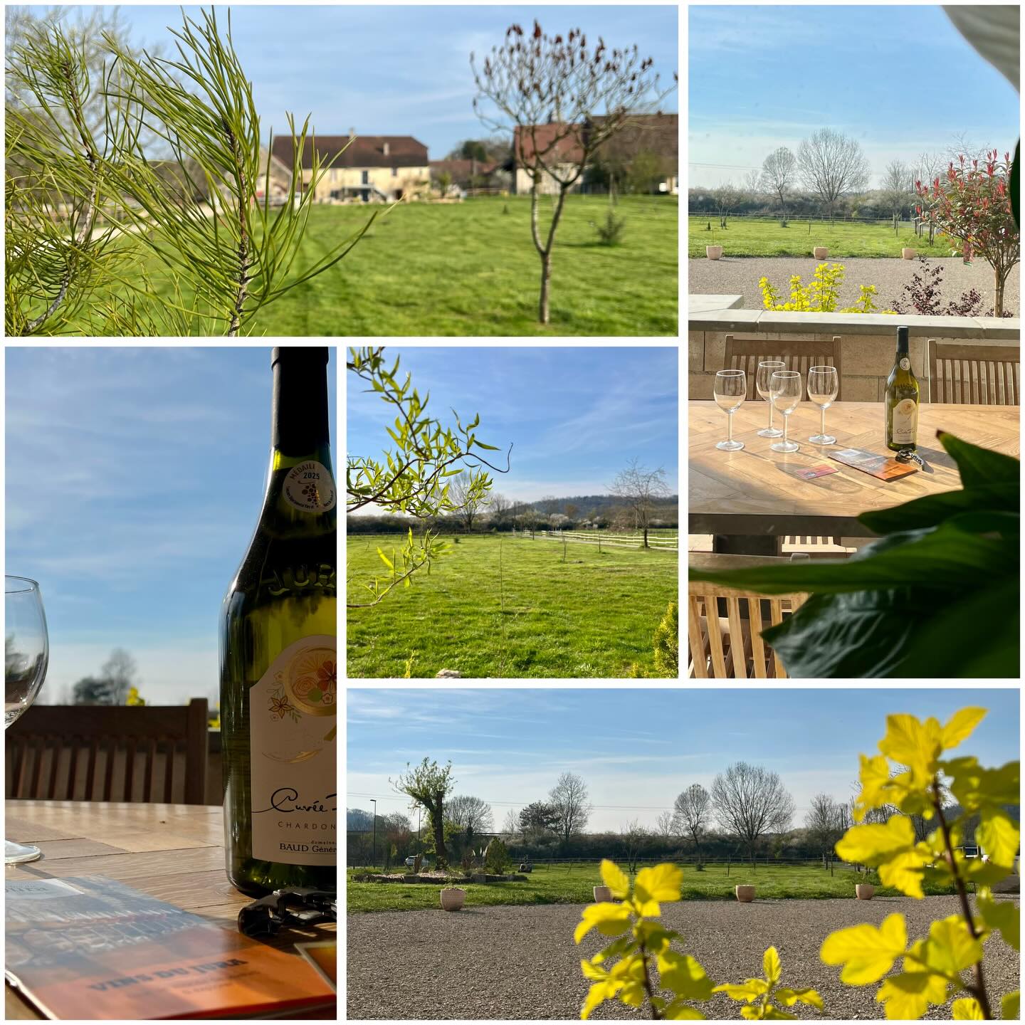 Les extérieurs de l’Ecrin et de l’Escapade prennent forme et poussent doucement 🤩
Toutes les plantations de cet hiver reprennent doucement des couleurs, les feuilles et les fleurs pointent le bout de leur nez et égayent les moments partagés 🙂
Venez, vous aussi, en profiter en réservant dans l’Ecrin et dans l’Escapade pour votre prochaine échappée jurassienne 😎
#jura #gites #vacances #plantations #fleurs @bourgognefranchecomte @jurabsolu