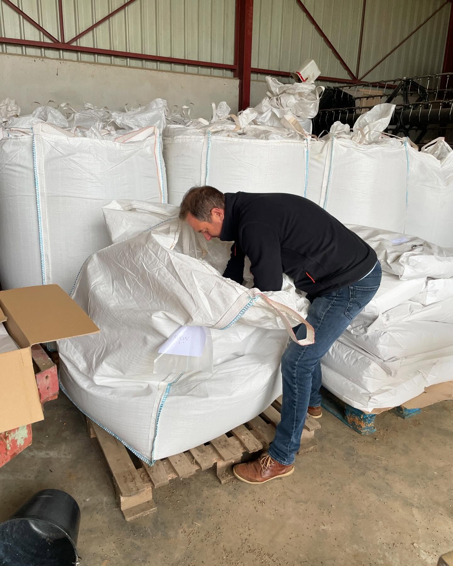 1ère mise en sac de notre chènevis, 1 tonne tout à la main. Ça donne la pêche !!!!!
#chanvre #chenevis #peche #carpe #hautsdefrance #cclvd #plainedestrees #oise #picardie