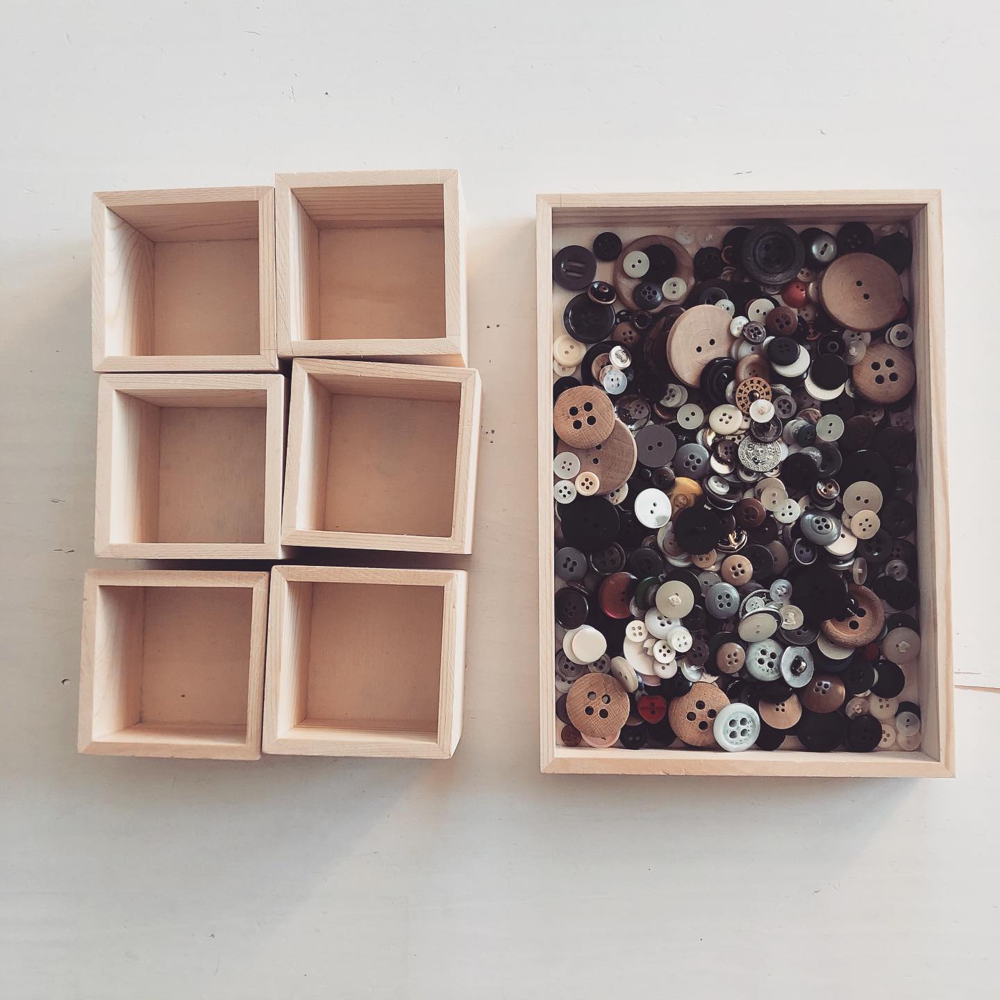 Knöpfe: Eines der tollsten Spielsachen, die es gibt 🤩!
Man kann:
- Sortieren nach Grösse, Farbe, Form und nach Lust und Laune.
- Mit Pinzettengriff oder verschieden grossen Pinzetten von Gefäss zu Gefäss transportieren.
- In verschiedene Gefässe mit verschiedenen Verschlüssen umfüllen.
- Spiele machen wie: Wer kann wieviele Knöpfe in der Faust halten? Auf dem Handrücken transportieren? Knöpfe verzaubern,…
- Zählen, zählen, zählen,…
- Muster legen.
- Als Spielgeld benutzen.
- Wer hat noch Ideen?
Übrigens finden sich in Brockenhäuser Knöpfe manchmal sackweise 🤫✨.
.
.
.
.
.
.
#kinderalltag #learningbydoing #spielen #lasstkinderspielen #wenigeristmehr #sinne #feinmotorik #pinzettengriff #erfahrungensammeln #mathematik #kindergartenteacher #momslife #momof3 #mamavondrei #elternsein #mamaleben #mamasein #mamalife #simplicityparenting #eltern #zeitzumspielen #zählen #creativkids #mamisein #lebenmitkind #lebenmitkleinkind #maman #mamansuisse