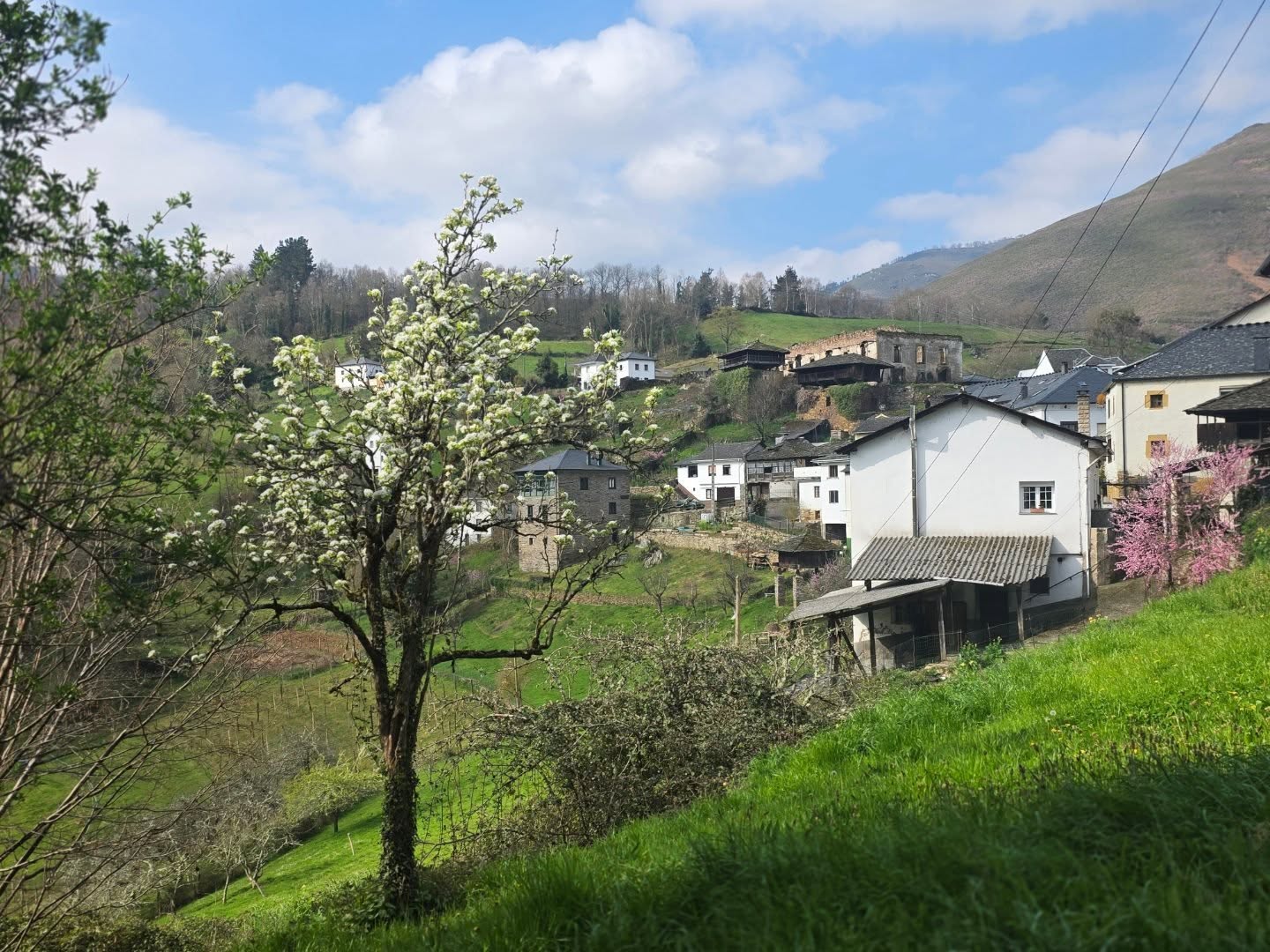 #Primavera por doquier... 🌼🌿🍀
Apabullante el brote de verde y flores por donde mires...
Acércate a #DescubrirBesullo con la alegría ptimaveral. Hoy nos visitan grupos de #Xixón, #Coruña y #Canarias.
Buenos días desde Bisuyu.