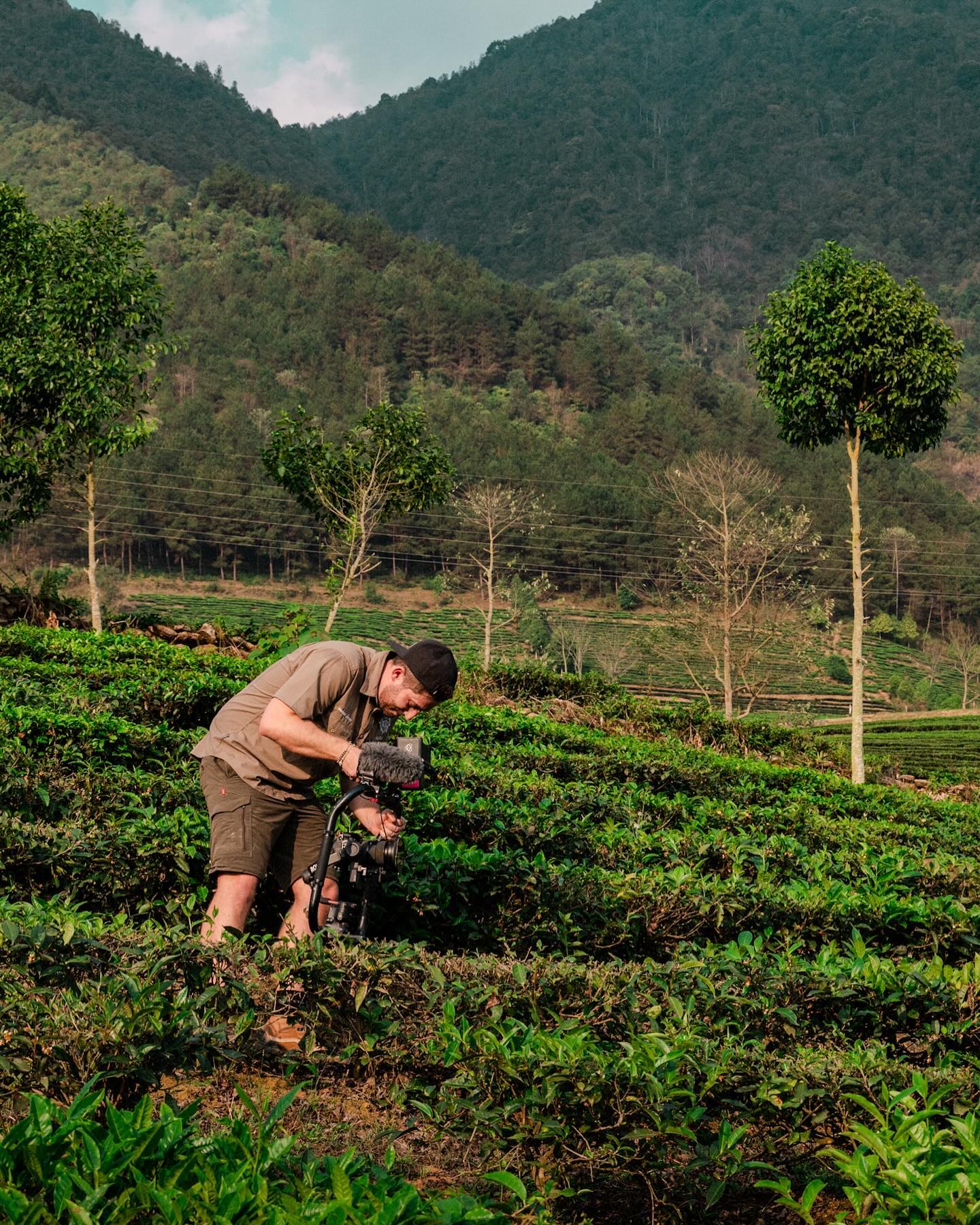 Shooting in some tea fields, North Vietnam. 🇻🇳
📸 @ryanhallett.co.uk
#video #videoproduction #teafields #vietnam #vietnamtravel #dji