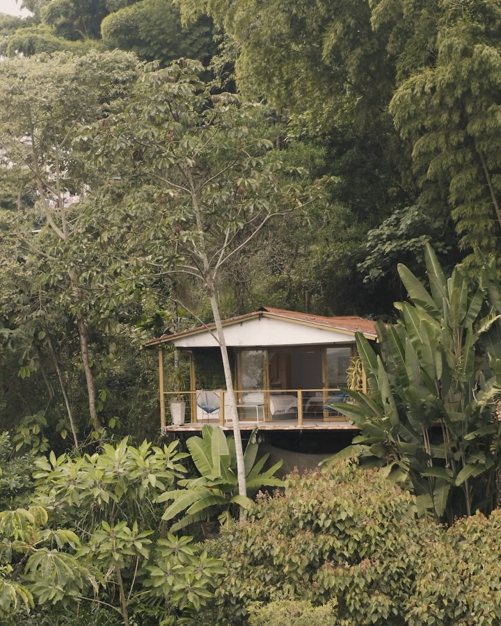 Hoy, en el Día Internacional de los Bosques, queremos rendir homenaje a la belleza y el valor de nuestros ecosistemas arbóreos, y qué mejor manera de hacerlo que desde la Cabaña Abismo en Paraíso Verde. Esta acogedora cabaña se encuentra dentro de un bosque reforestado que, hace años, era solo un potrero.
La transformación de este lugar es un testimonio del poder de la reforestación y del compromiso con la sostenibilidad. Cada árbol plantado no solo ha devuelto la vida a este ecosistema, sino que también ha creado un refugio para diversas especies de flora y fauna, convirtiendo la Cabaña Abismo en un punto de conexión con la naturaleza.
Al alojarte aquí, no solo disfrutas de la belleza del bosque, sino que también te conviertes en parte de un esfuerzo más amplio por preservar nuestro planeta. 🌎❤️
Hoy, celebremos los bosques y su importancia para nuestra salud, nuestro clima y nuestra biodiversidad. Te invitamos a visitar la Cabaña Abismo y ser parte de esta historia de renovación y esperanza.
ENG/
🌲🌍 Celebrating International Day of Forests at Cabaña Abismo 🌳✨
Today, on International Day of Forests, we want to pay tribute to the beauty and value of our arboreal ecosystems, and what better way to do it than from Cabaña Abismo at Paraíso Verde. This cozy cabin is nestled within a reforested forest that was once just a pasture years ago.
The transformation of this place is a testament to the power of reforestation and the commitment to sustainability. Each tree planted has not only brought life back to this ecosystem but has also created a refuge for various species of flora and fauna, making Cabaña Abismo a point of connection with nature.
When you stay here, you not only enjoy the beauty of the forest but also become part of a larger effort to preserve our planet. 🌎❤️
Today, let’s celebrate forests and their importance for our health, our climate, and our biodiversity. We invite you to visit Cabaña Abismo and be part of this story of renewal and hope.
#DíaInternacionalDeLosBosques #CabañaAbismo #Reforestación #Sostenibilidad #ParaísoVerde Naturaleza