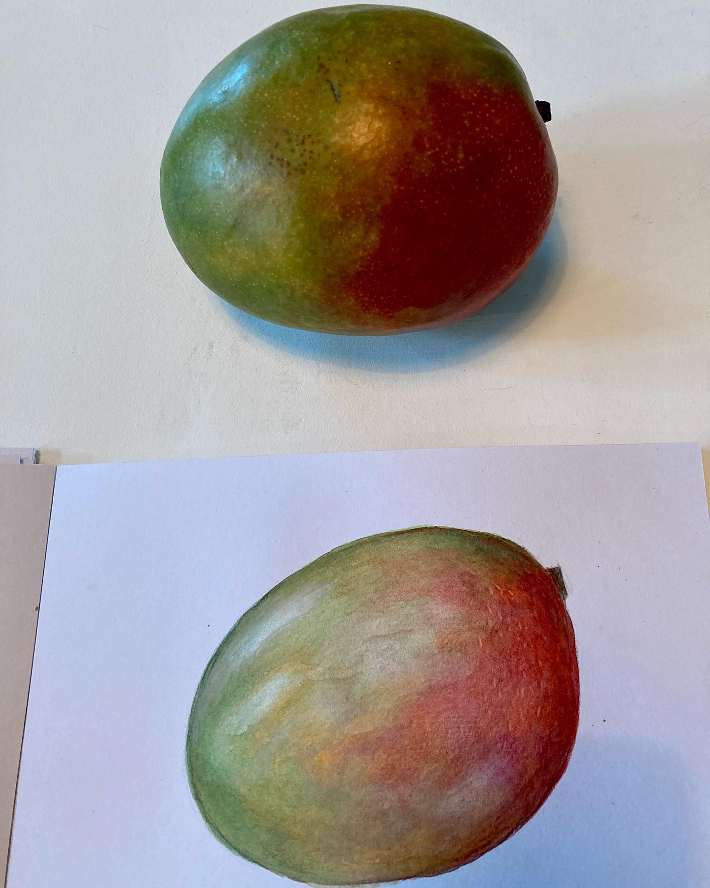 La mangue, selon la Diététique Chinoise!
Un dessin perso, ma recette préférée!
Fruit originaire d’Inde, l’histoire raconte que c’est sous un manguier que Bouddha allait méditer des journées entières. Le manguier appartient à la même famille que le pistachier et l’arbre qui produit les noix de cajou. Il serait cultivé depuis plus de 6000 ans.
La mangue a pour nom chinois « Mang Guo ». Elle est de nature fraîche, de saveur douce et acide; elle a pour tropismes Rate/ Estomac. Comme tous les fruits, elle tonifie l’Energie, coupe la soif, nourrit les liquides et traite la Sécheresse. Elle harmonise l’Estomac et est surtout reconnue en Chine pour calmer les nausées et arrêter les vomissements, ainsi que pour traiter le mal de mer et des transports.Elle traite aussi les brûlures d’estomac. Elle favorise la diurèse et traite la rétention urinaire.
Elle calme les vertiges de Mesnieres ou d’hypertension. Elle convient aux diabétiques, car son Index Glycémique est bas.
Les recherches ont montré un fort taux de bêta-carotènes, un antioxydant très intéressant pour protéger la peau des radicaux libres responsables du vieillissement. La mangue contient aussi des enzymes permettant une meilleure digestion des protéines. Elle serait efficace aussi en prévention des cancers de la peau et de la prostate.
Ma recette préférée: Les brochettes de poulet à la mangue et sésame!
#mangue #mangues #mango #fruits #fruitsexotiques #bienfaitsdesfruits #bonpourlasante #dietetique #dietetiquechinoise #madreperlamtc