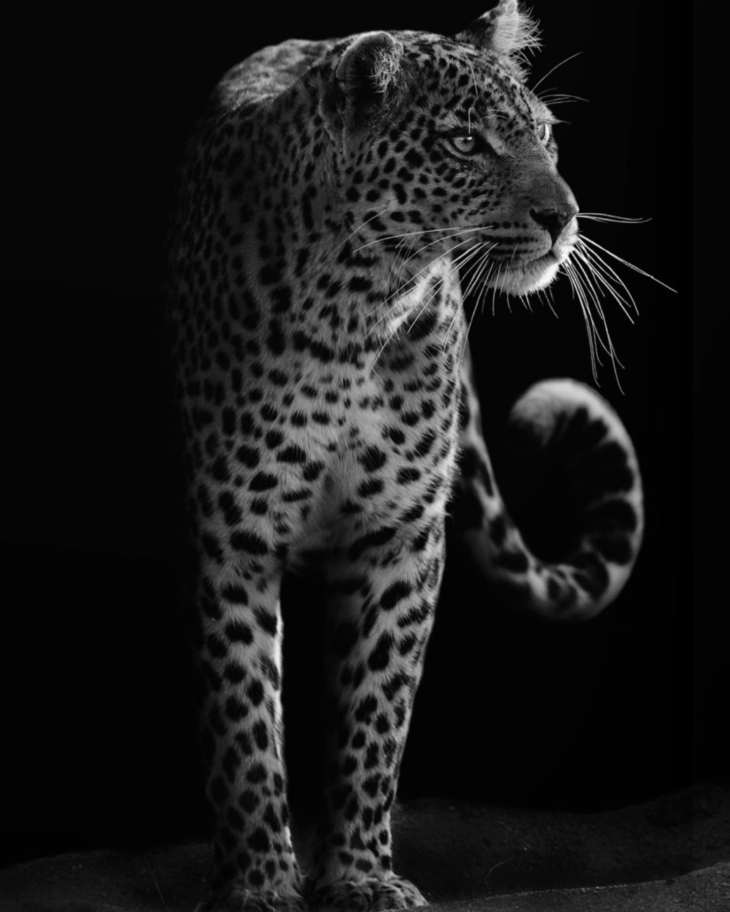 BB PRINT Sommer - 2022
INNOVATION. TECHNOLOGIE. LIFESTYLE. BAU.
Für Architekten, Planer, Fassadenplaner, Ingenieure, Immobilienverwaltungen, Bauunternehmen und GU's und den Öffentlichen Sektor.
Sommer & Winter.
www.baubible.ch