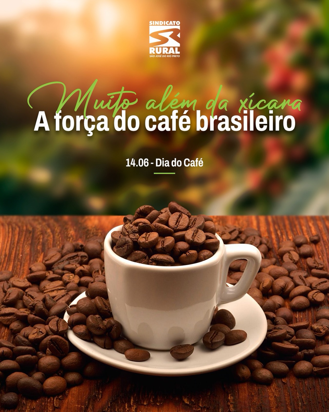 Hoje celebramos uma das maiores riquezas do Brasil: o café.
Presente no dia a dia de milhões de pessoas, ele vai muito além do sabor — representa trabalho, tradição e a força do produtor rural que faz tudo acontecer lá no campo.
🌱 Do plantio à xícara, existe dedicação em cada etapa, desde o cultivo e manejo da lavoura, passando por uma colheita cuidadosa, pelo processamento que garante qualidade, até a distribuição que leva o café brasileiro para o mundo.
💡 O café movimenta a economia, gera empregos e leva o nome do Brasil para todos os cantos.
👉 Por trás de cada xícara, existe um produtor comprometido com qualidade e excelência.
☕ Valorize o café. Valorize quem produz.
Telefone: (17) 3232-5115⠀
Site: www.sindicatoruralsjrp.com.br
#SindicatoRuralSJRioPreto #Agricultor #Café #ProdutorRural #SãoJoséDoRioPreto
