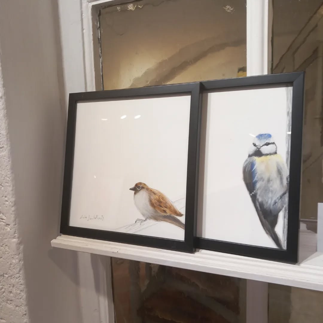 Natur und Stadt!
Anke Dinkelbach malt sanft.
Ihre Bilder zeigen oft die Natur. Sie reduziere die Gegenständlichkeit so weit, dass die Quintessenz von dem was sie ausdrücken möchte sichtbar wird.
#sanftemalerei #sanftezeichnung #galerie #bremen #Kunst #art #zeichnung #tiermalerei