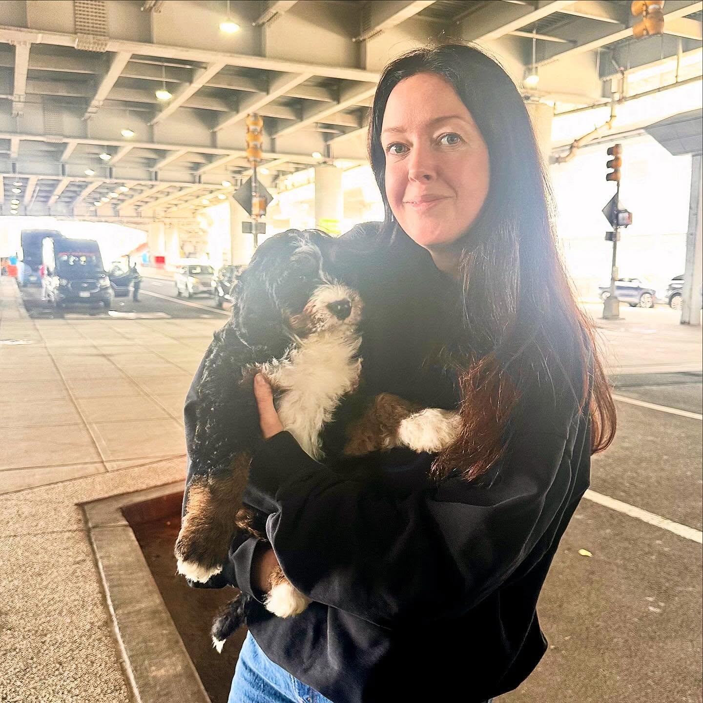 Georgie’s tri baby girl made it to D.C! Congratulations to our newest LK Family #LKBernedoodles