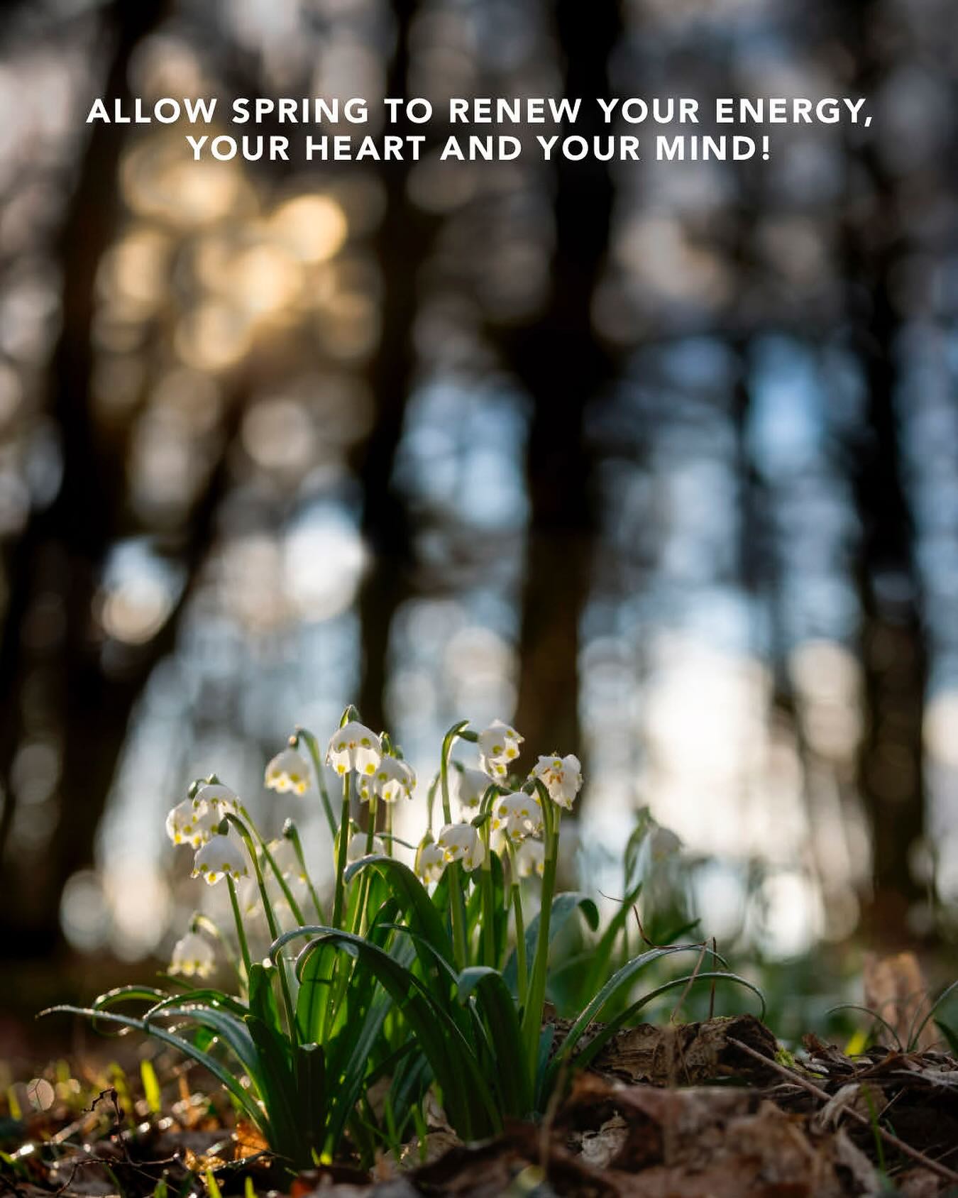 Spring is finally here!!! 💜 🌼 ☀️