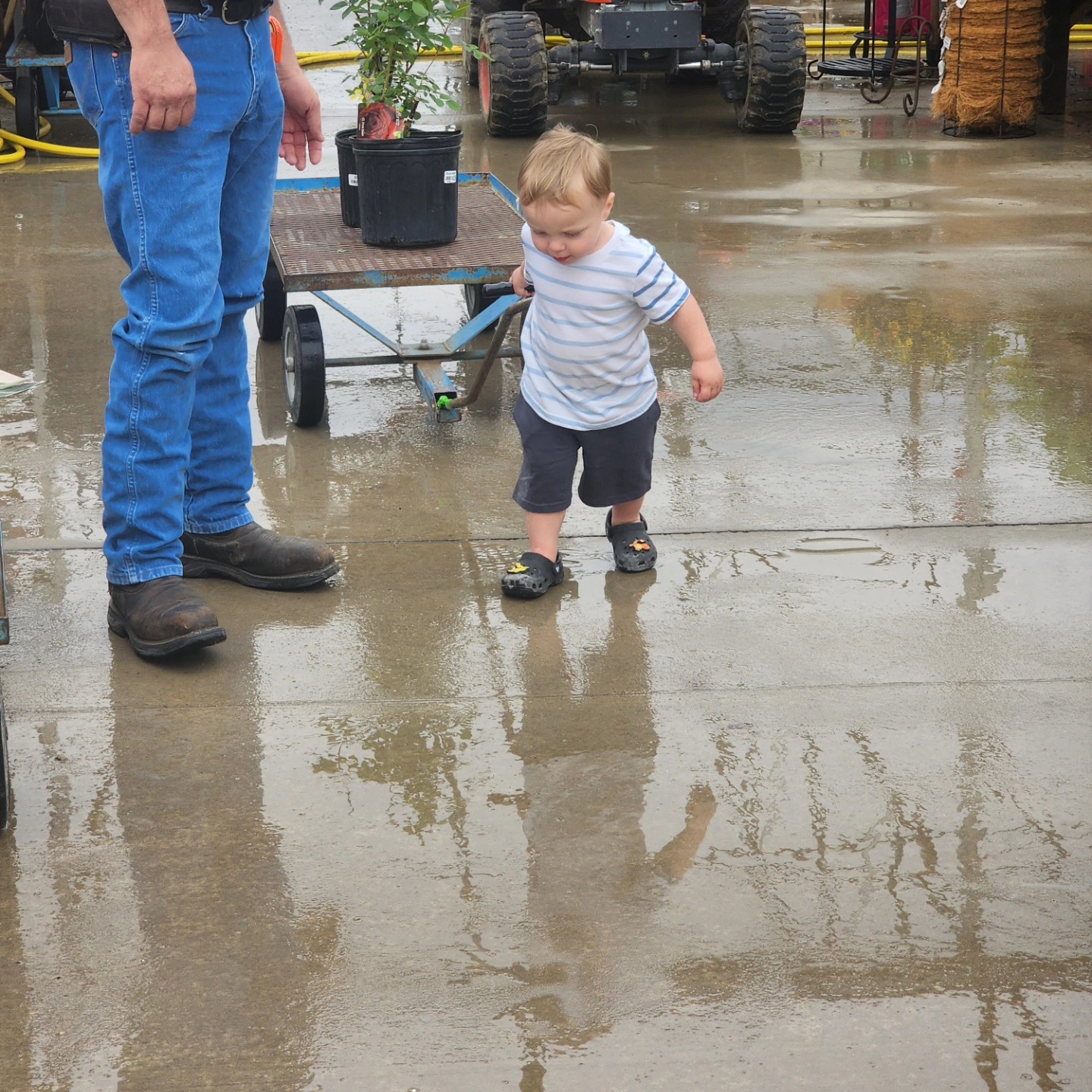 Little Liam came to help his grandparents pick out plants. At two years old, he insisted on pulling the cart. Thanks for the visit!
*posted with permission*
