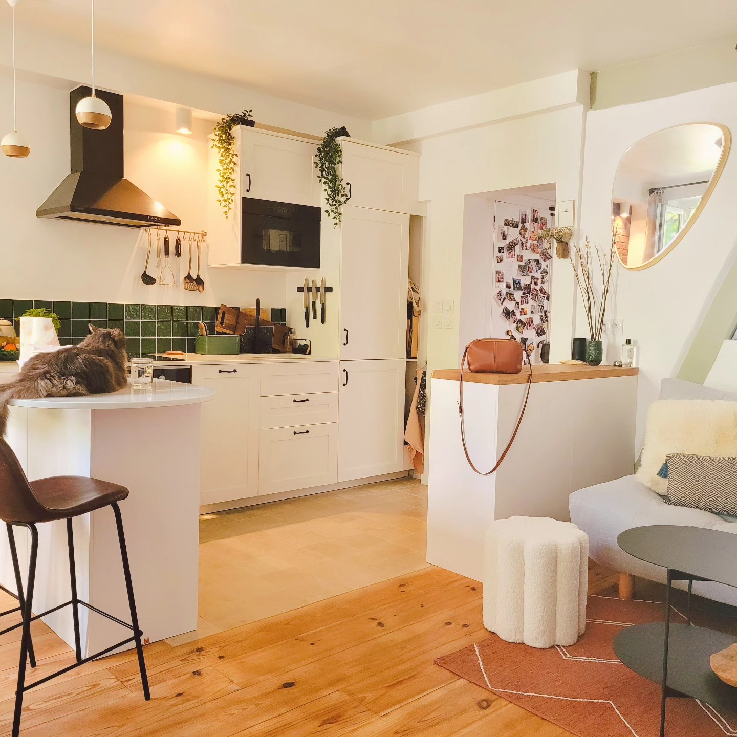 PROJET JOURDAIN
Qui pourrait croire que dans ce 40m2 nous pouvons cuisiner avec un feu de cheminée ???
En tout cas, il y en a un qui a bien trouvé sa place et pas auprès de la cheminée 😺
.
.
.
#cheminee#cuisine#rénovation#campagneaparis#interiordesign