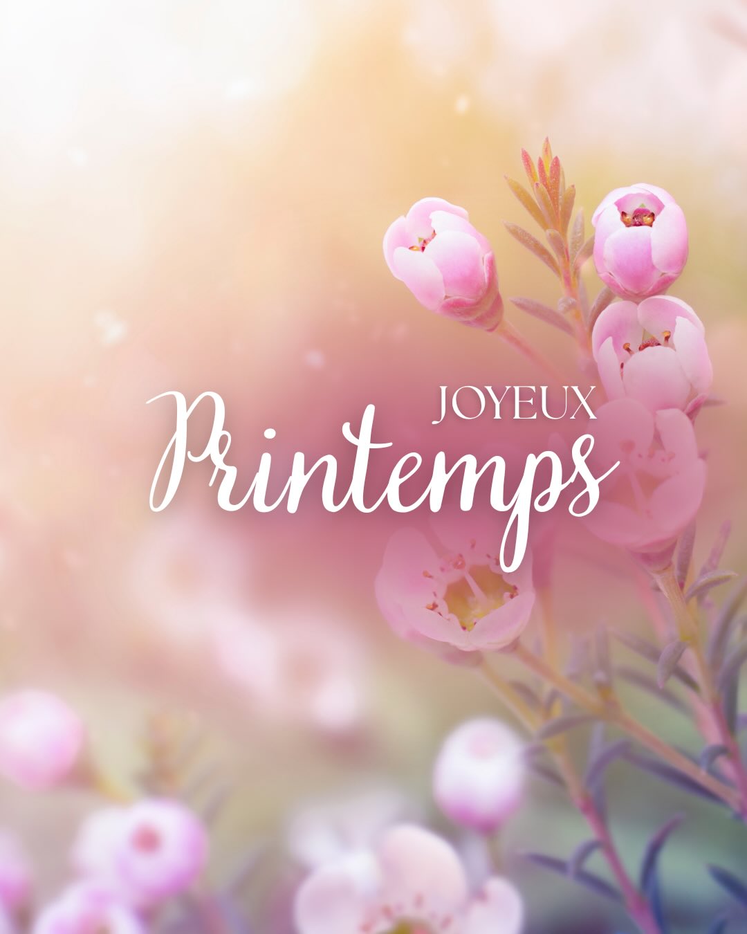 🌸 Le printemps arrive !
Avec lui, l’énergie du renouveau, de l’équilibre et des nouveaux départs.
L’équinoxe nous rappelle que tout est une question d’harmonie : entre l’ombre et la lumière, entre le repos et l’élan.
C’est peut-être le moment parfait pour laisser partir ce qui n’a plus sa place…
et accueillir ce qui demande à éclore !
Je vous souhaite une saison douce, lumineuse et pleine de belles énergies 🌸
#printemps #ostara