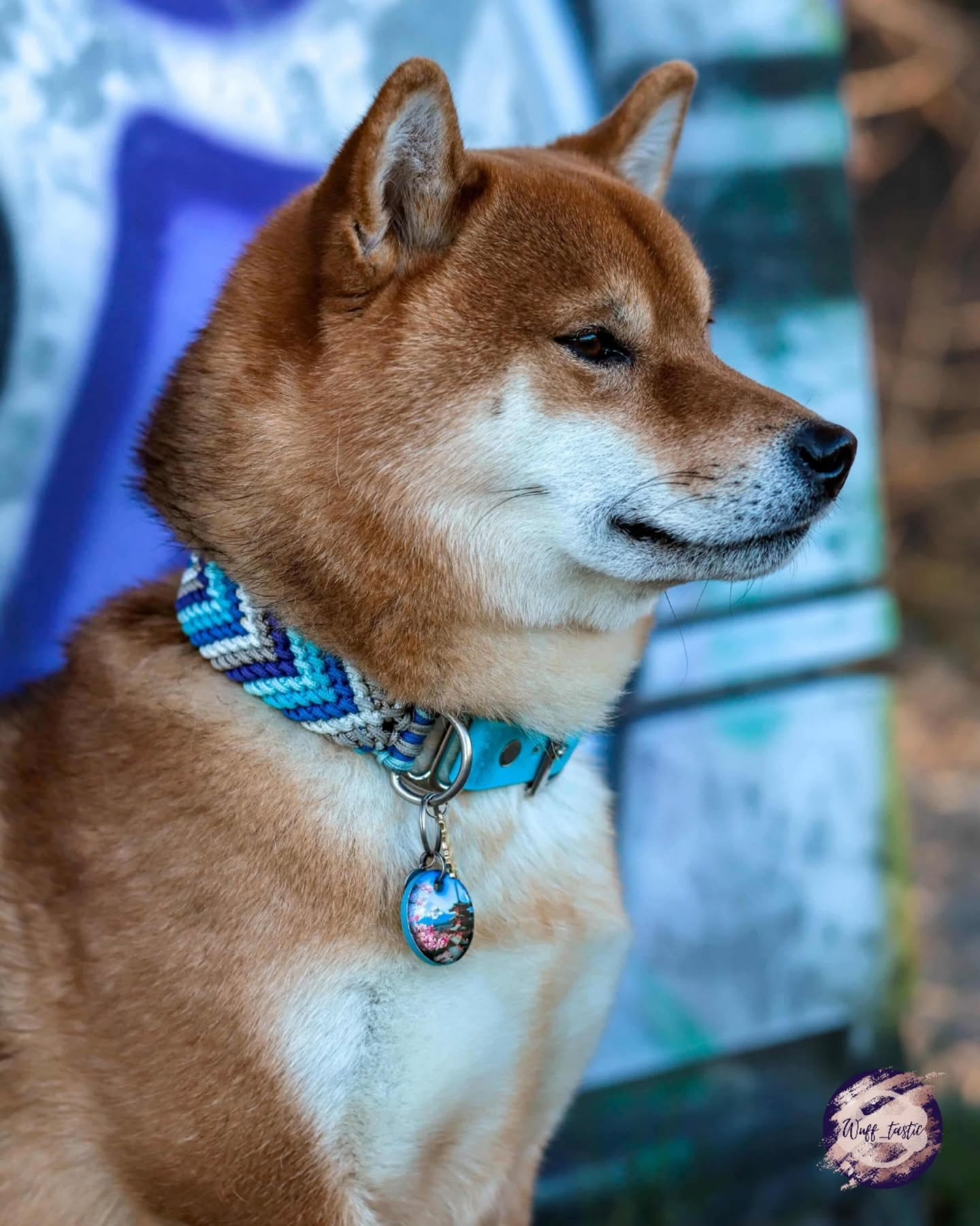 Ich merke gerade wieder, wie viele von euch mich markieren und mir Bilder schicken 🐾
Und ehrlich? Ich liebe es.
Eure Hunde mit meinen Marken zu sehen, macht das Ganze erst komplett.
Deshalb teile ich eure Bilder auch super gern, weil genau das zeigt, wie unterschiedlich jede Kombination am Ende wirkt.
Also wenn deine Marke schon im Einsatz ist:Markier mich unbedingt, ich schaue mir alles an und teile es weiter 🐾
Ich feier das wirklich jedes Mal ♥️
📸 Liebe Corinna @corinna_and_ryo, ich danke dir für dieses zauberhafte Bild 💖