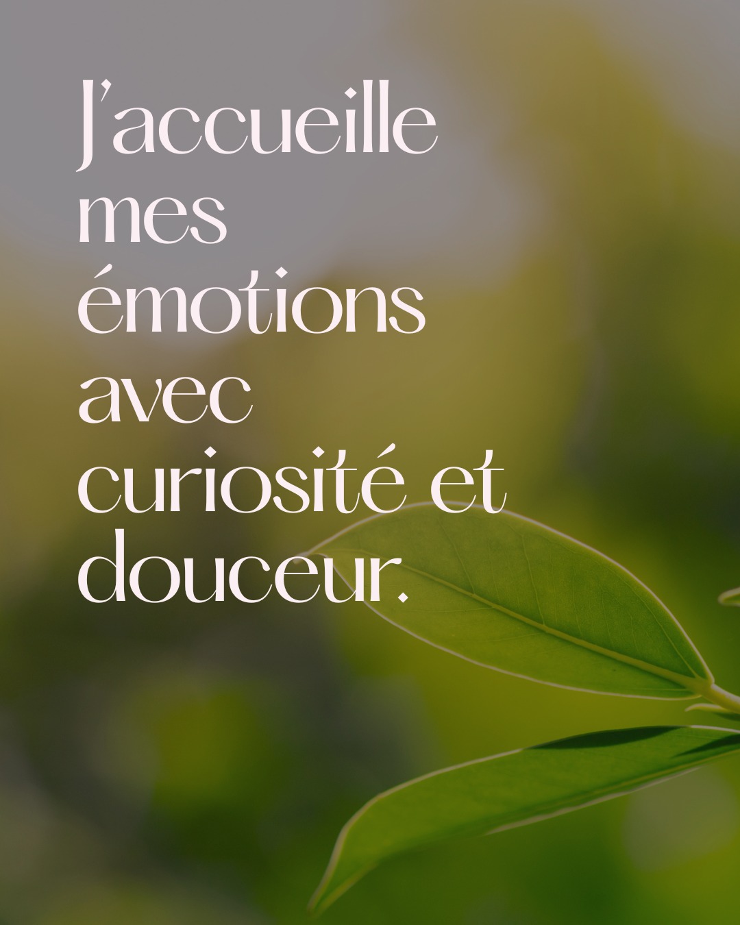 Chaque émotion porte un message; l’accueillir avec douceur favorise l’équilibre intérieur.
//
Every emotion carries a message; receiving it gently fosters inner balance.
#emotionalawareness #bienetre #mindfulness #selfcare #holistichealth #montrealwellness #slowwellness #innerpeace