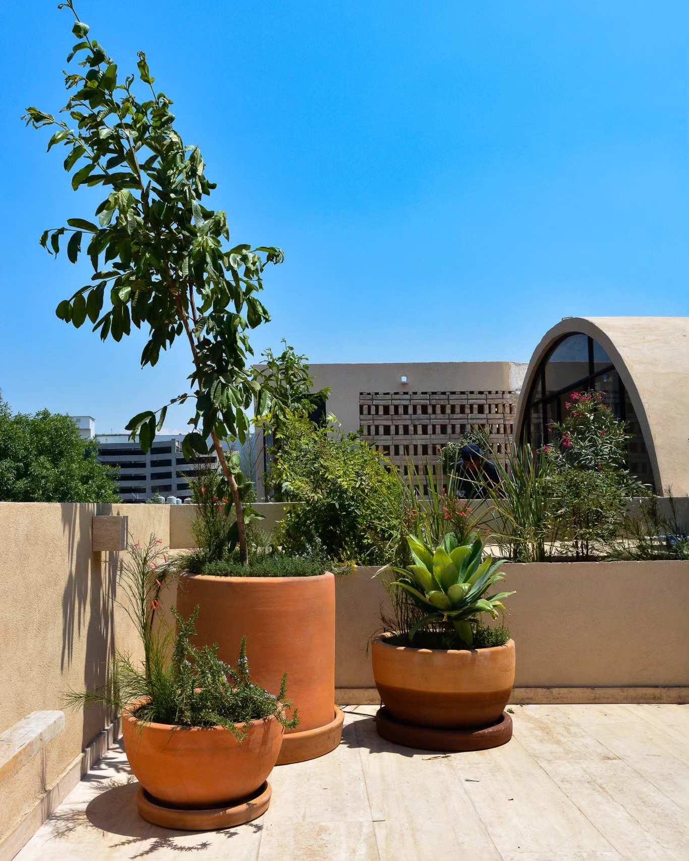El sábado terminamos con la plantación en Mariano Azuela, Santa María la Ribera. Nuestra paleta vegetal en la zona de Roof Garden busca ser una mezcla de diferentes texturas y alturas, resaltando principalmente tonos de verdes y rojos, acompañando la arquitectura del conjunto.
Utilizamos un riego por goteo que nos instaló @tornado_sistemas_de_riego.
En colaboración con: @colectivomp2
Arquitectura: @bloqe.arquitectura
.
.
.
#landarch #arquitecturadepaisaje #riegoporgoteo #jardineria
#jardines @landscape.first @sapmexico