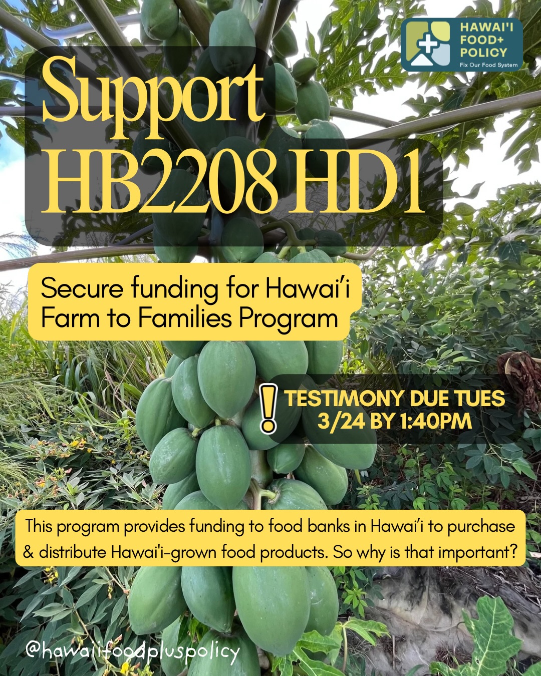 🚨SUPPORT NEEDED! Testimony for HB2208 HD1 is due Tuesday 3/24 by 1:40pm!
➡️ Go to capitol.hawaii.gov to submit testimony in support of HB2208 HD1! Late testimony is accepted.
HB2208 HD1 establishes and funds the Hawaiʻi Farm to Families Program to help address food insecurity throughout our island communities.
This program…
🥕 helps to bridge the gap between our local producers and those in need of nutritious, fresh, and high quality food.
🧑🧑🧒🧒 supports our food access resources (like our foodbanks) who can better address hunger in underserved communities.
🧑🌾 offers a reliable market for local producers to help keep money local and support Hawaiʻi’s agriculture economy.
🤝 assists in emergency food preparedness.
The extent to which people need food in Hawaiʻi is far greater than what many of us could ever realize‼️
After the Kona storms, many of our communities do not have the capacity to be civically engaged during this time. If you do have the capacity, it is important that we step up as advocates to make sure our communities’, farmers’, and families’ voices are still heard.