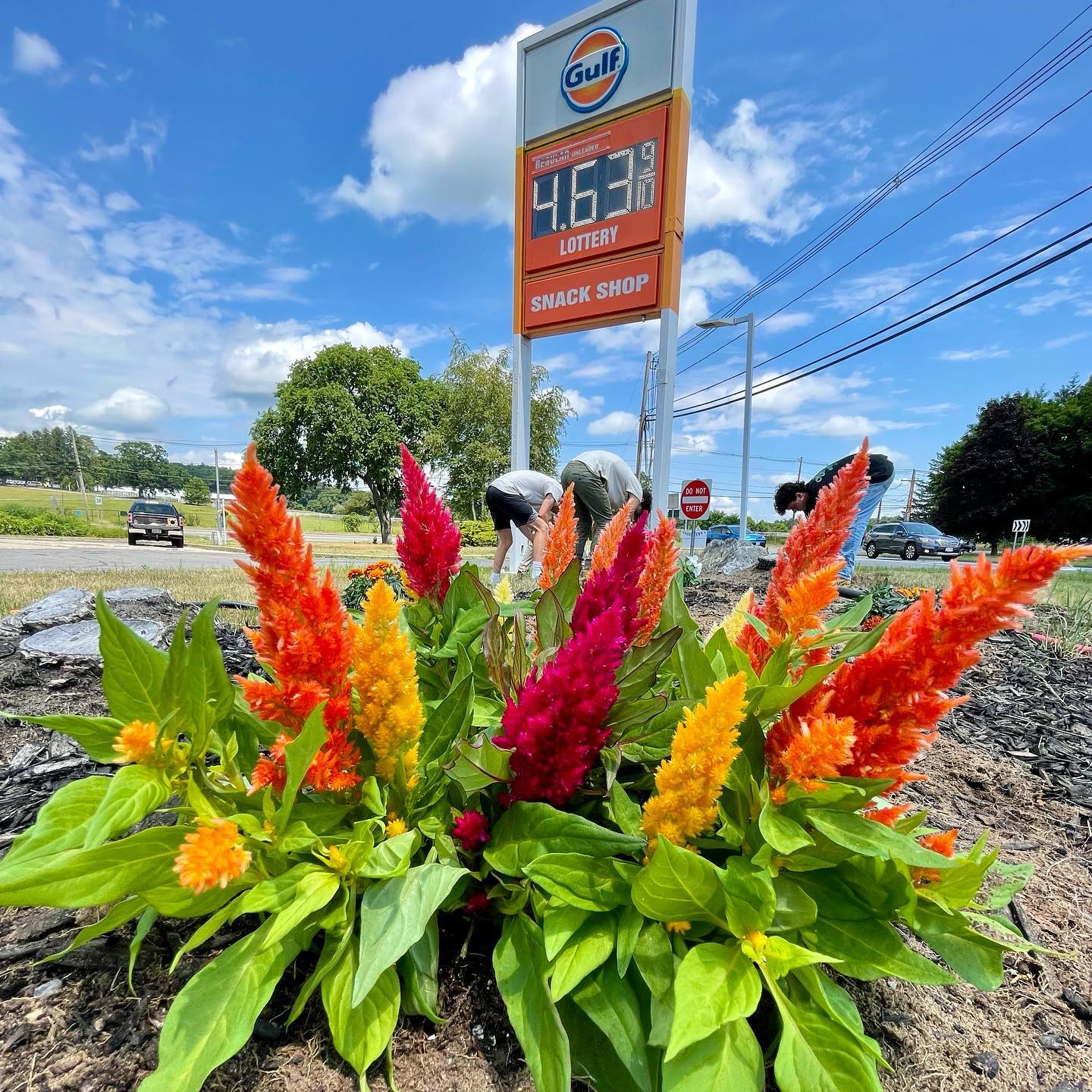 Looking for a fresh splash of color? Head to the Concord rotary! @gulfoilinternational
#concordma #hslu #highstlawnunlimited #flowers #landscaping #lawncare #planting gardening #lawnmower #color #summer #stripenation #lawncarenut #lawncarenation
#lawncareservice
#landscapepainting
#landscapes
#yards #mowers #zeroturn #lawncarelife
#landscapers #stripe #stripes #lawncarecommunity
#stripelifegear
#backyard #grass