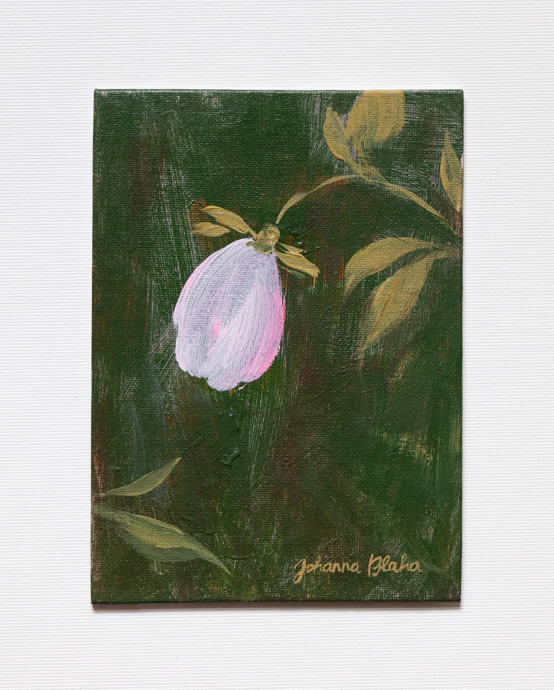 so happy to finally share what i’ve been working on over the past few weeks. i’ve finished my painting series garden fragments. each piece stands on its own, but together they become part of something larger. i love that they can be arranged in different ways - in grids, rows, or freely - always creating a new composition. once they leave my hands, they transform again. i like the idea that whoever owns them can continue the creative process, shaping their own artwork through placement and combination.
these are the first 10 paintings of the series. i will share many more in the next days and weeks.
i’m thrilled to announce that you can find a selection of my flowers at @diesellerie (online & in store). i am so happy to work together with Georg & Patrick and feel honoured to have my work in their beautiful space.
you can find them now in my webshop.
garden fragment 1-10
acrylic on canvas board
13x18cm
2026