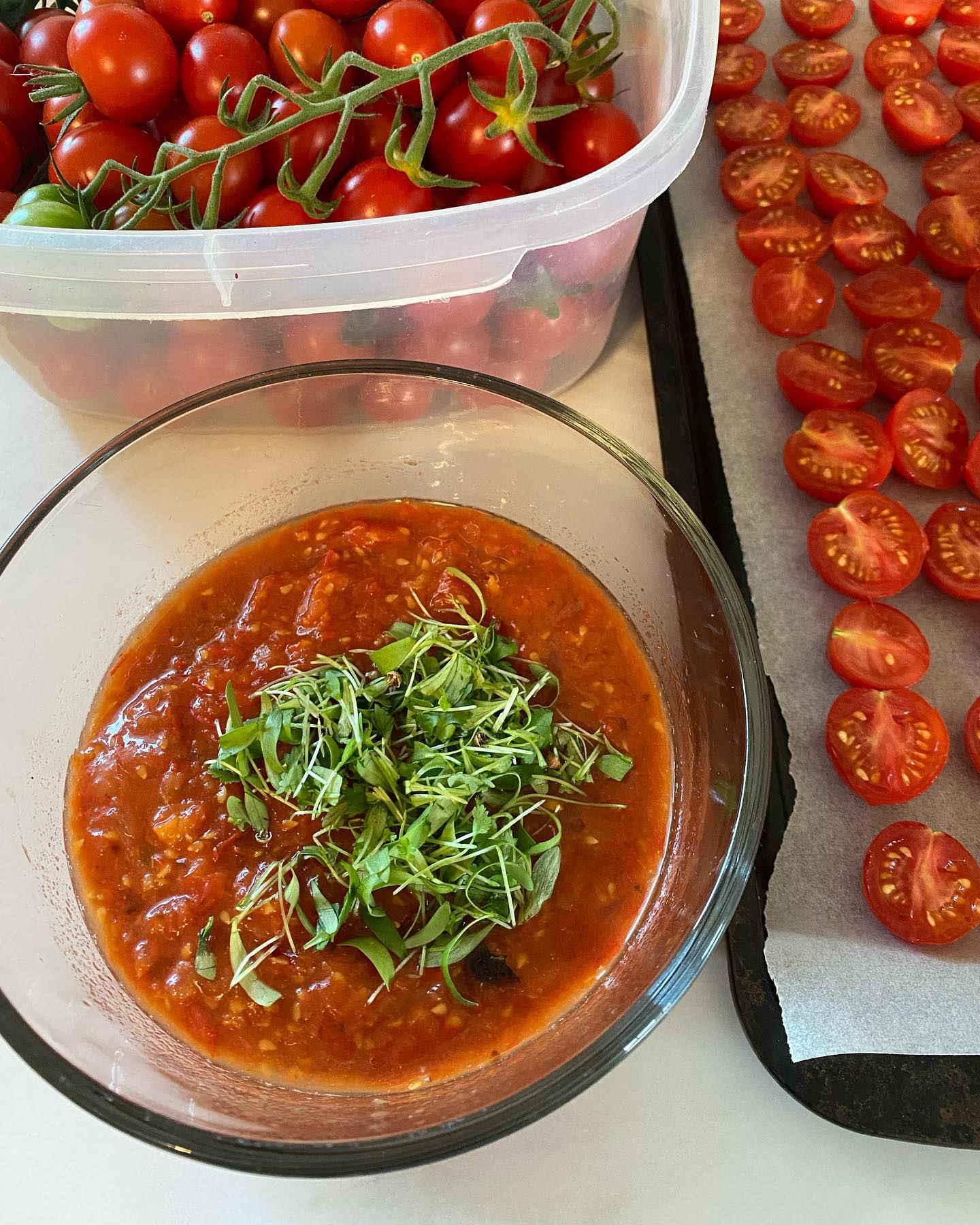 Shout out to everyone dealing with their abundance of tomatoes.
Roasted cherry tomato salsa made so spicy only I can eat it, topped with micro cilantro 🌱
🌱
🌱
🌱
🌱
#tomatoestakingovertheworld