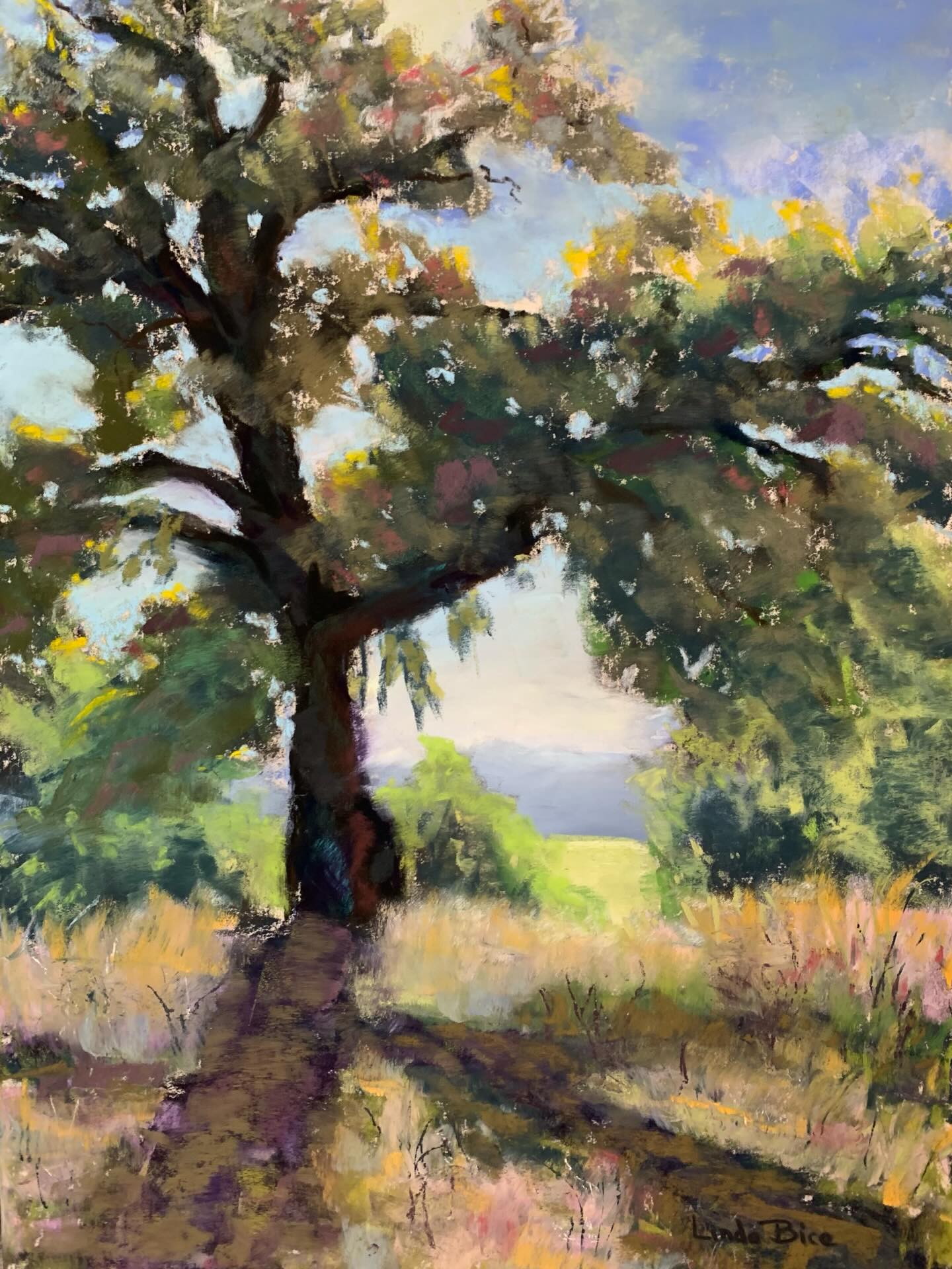 Lit from Behind. Soft pastel