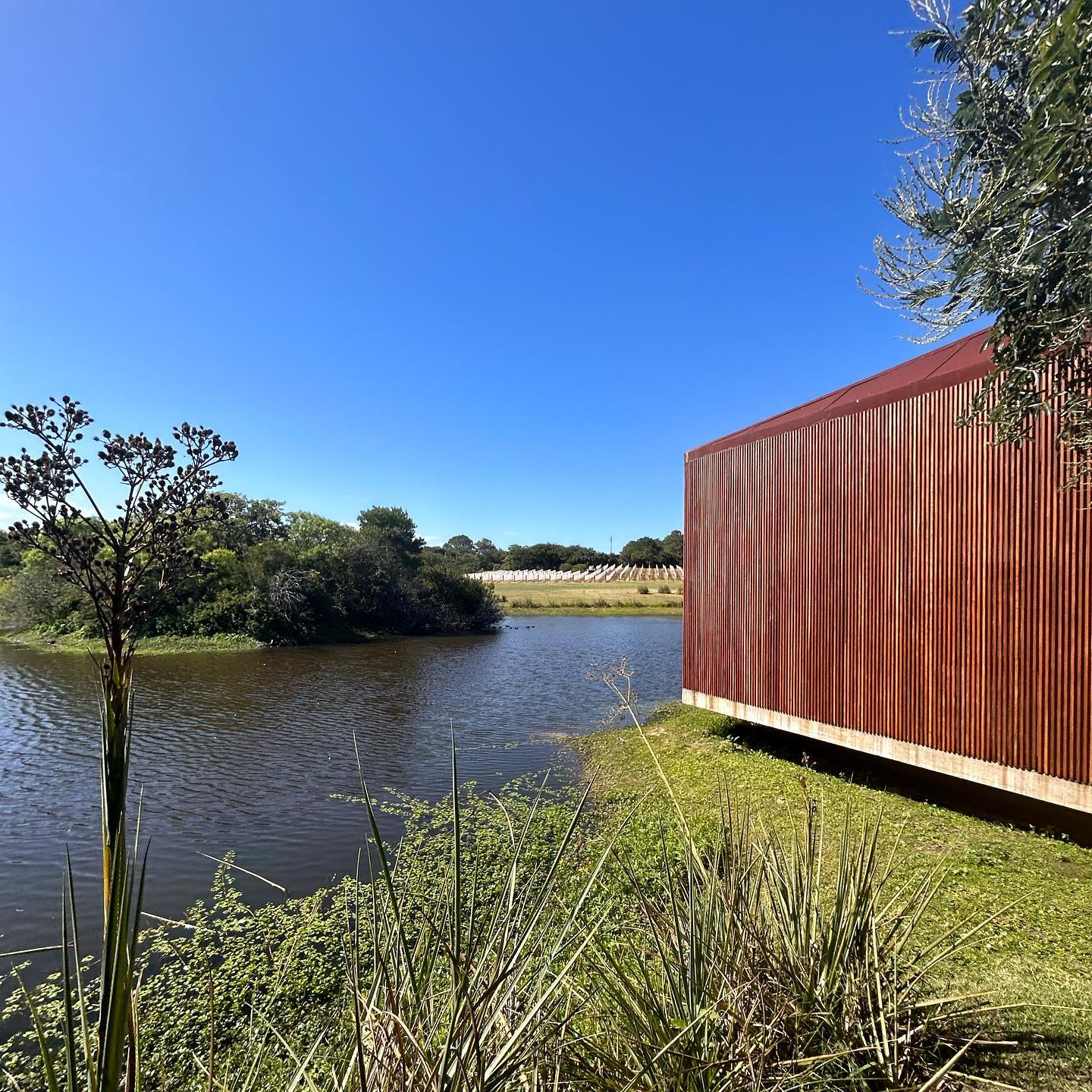 Las Musas 📍
.
.
.
.
.
.
#travel #uruguay🇺🇾 #discoverlatam #love #travel #potd #nature #arch #architect #landscapephotography #travelphotography #blog #discoverearth #discovernessara